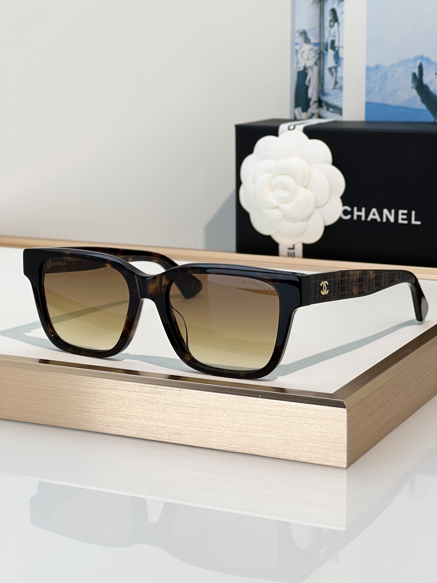 Chanel Sunglasses CH3513