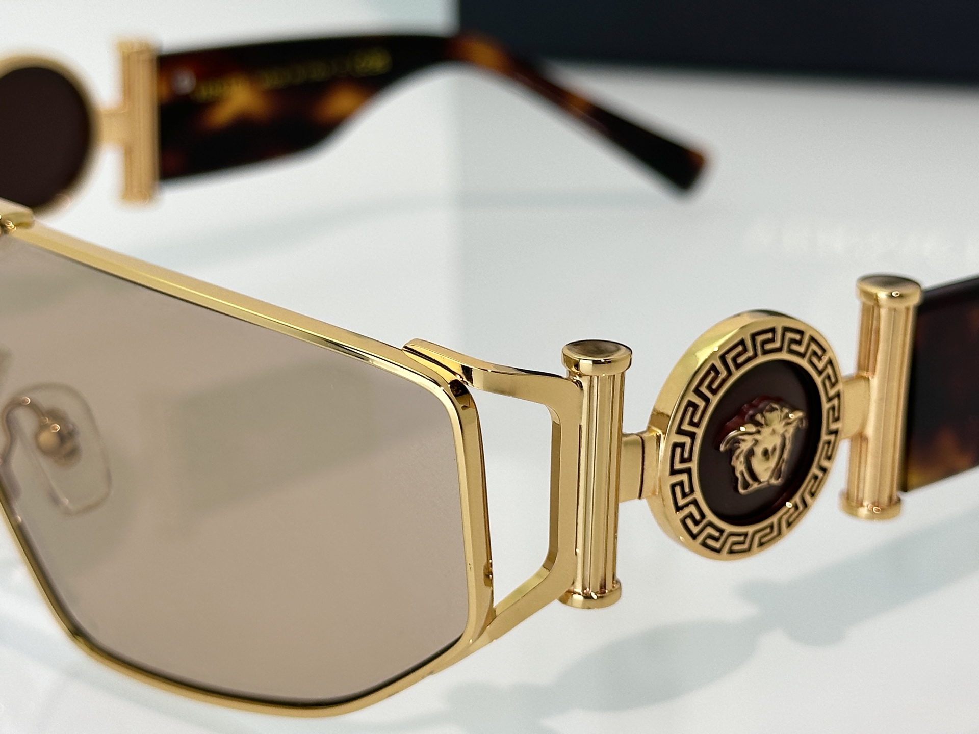 Versace Sunglasses VE6821