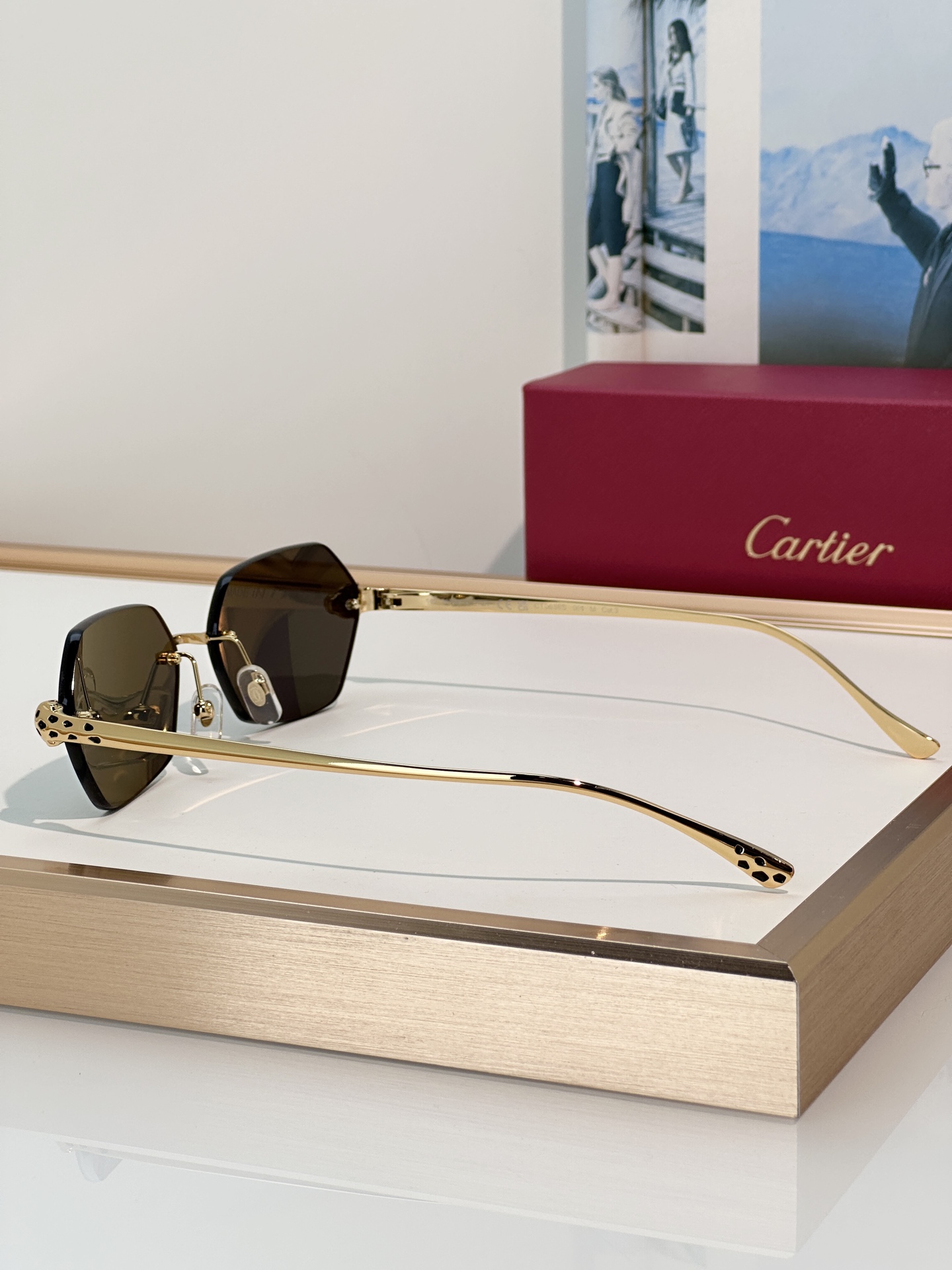 Designer Sunglasses CT0636S