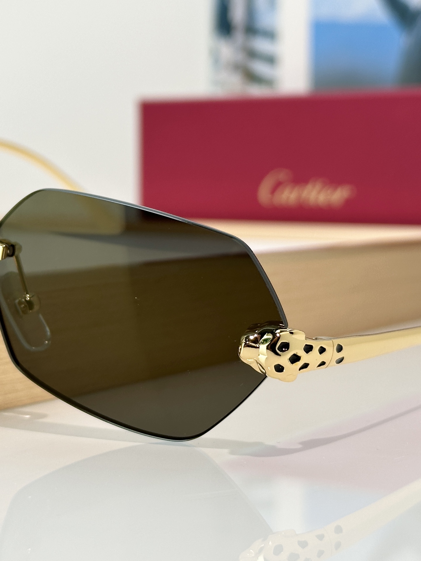 Designer Sunglasses CT0636S