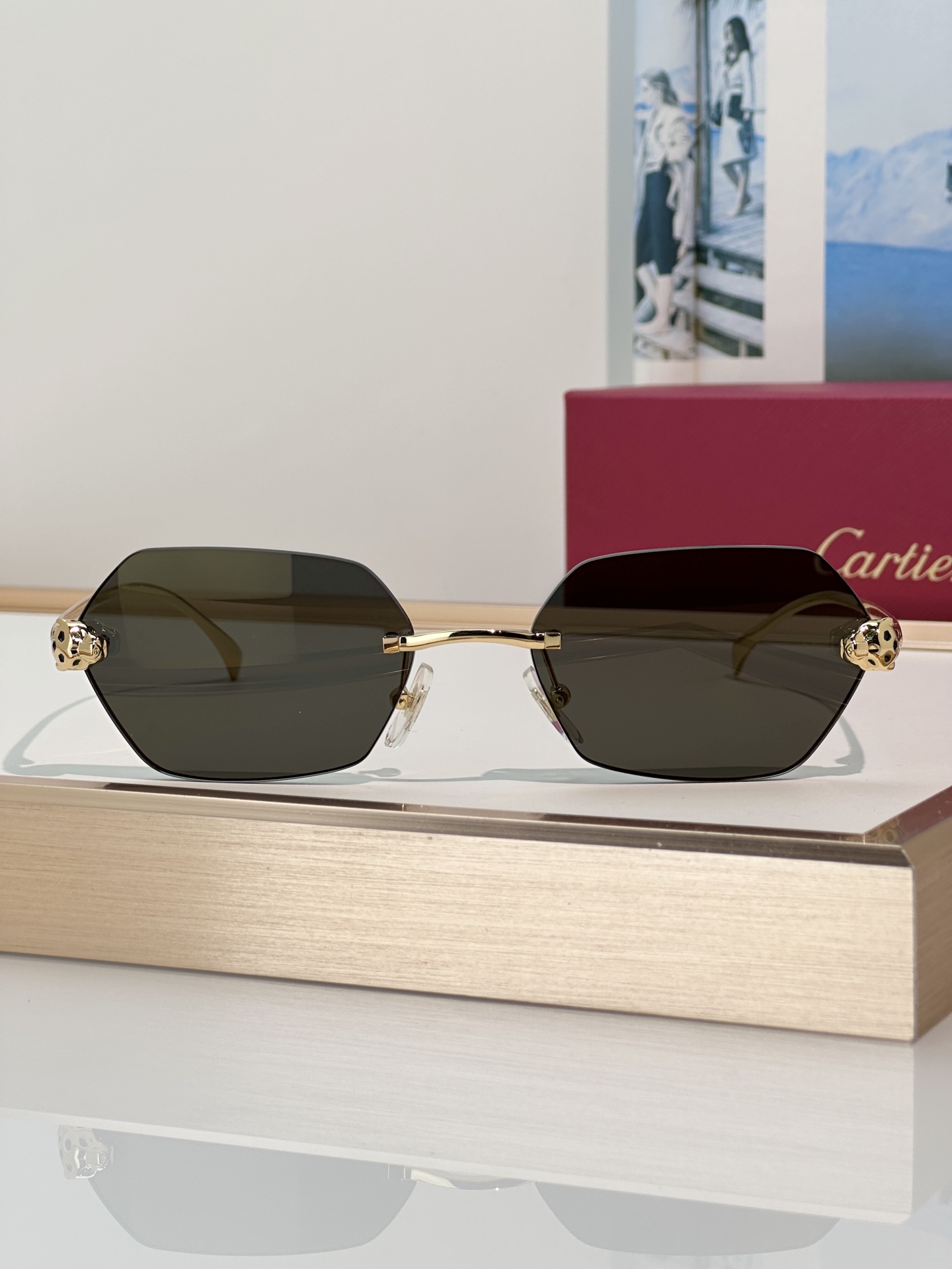 Designer Sunglasses CT0636S