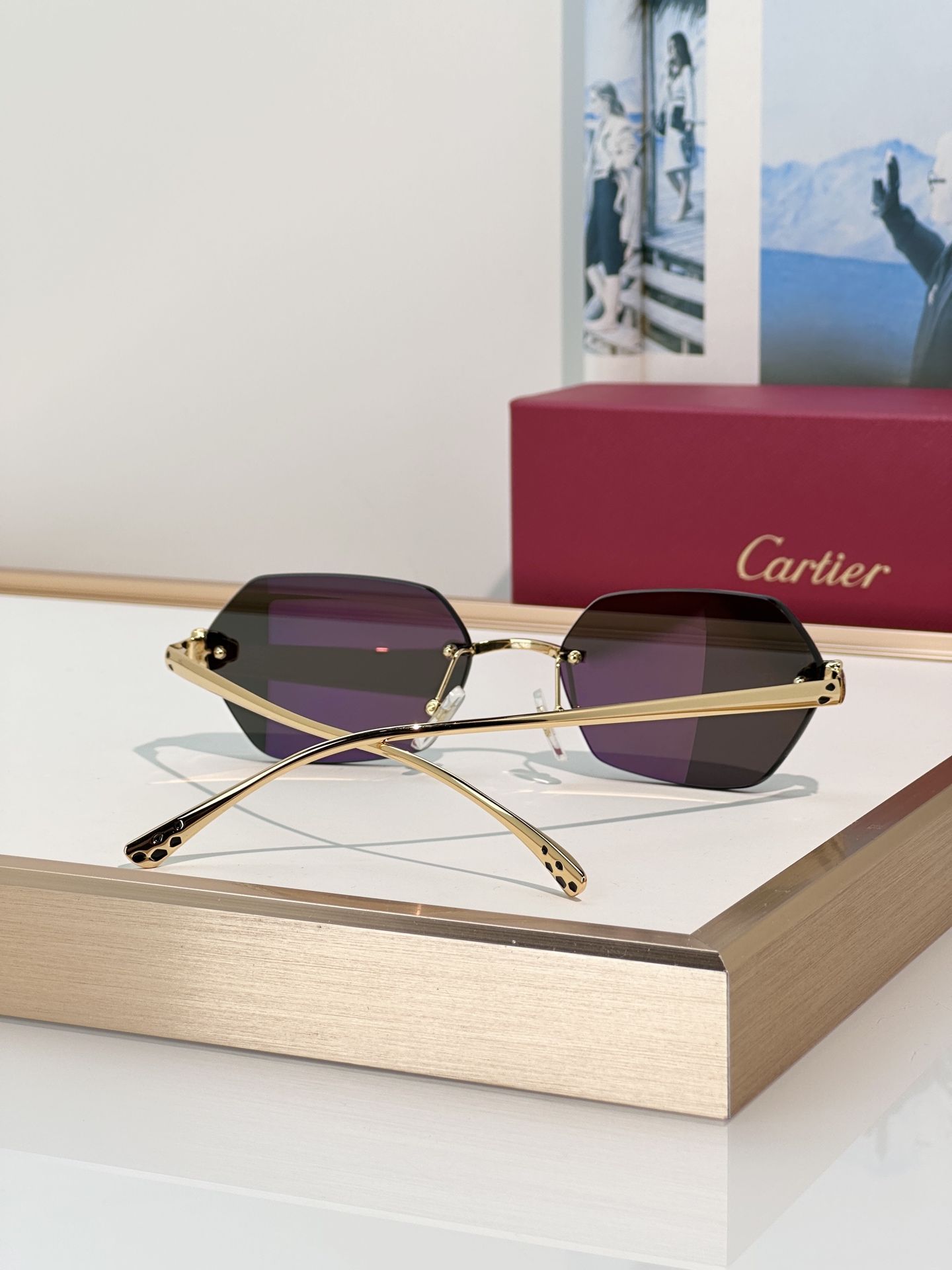 Designer Sunglasses CT0636S