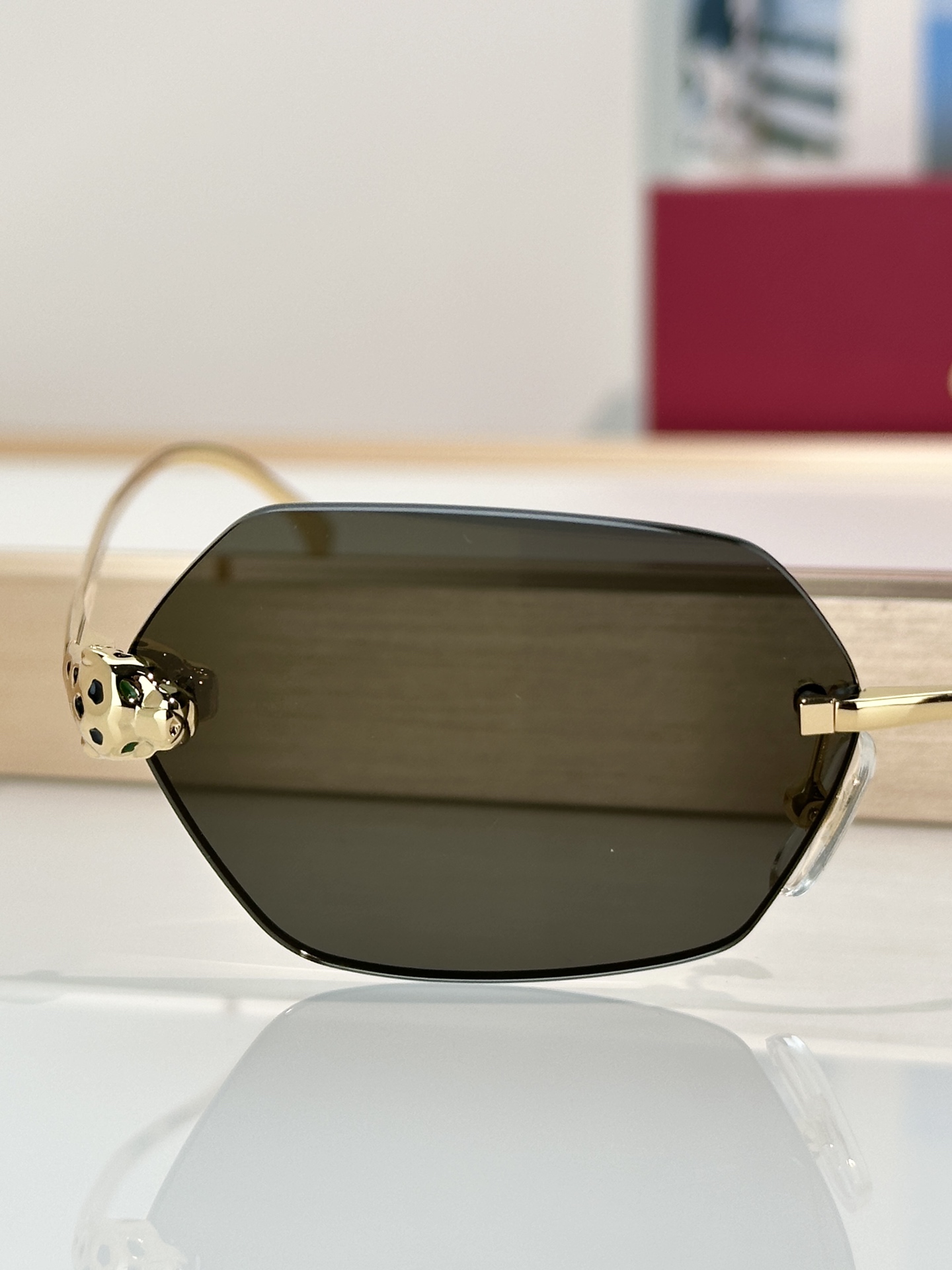 Designer Sunglasses CT0636S