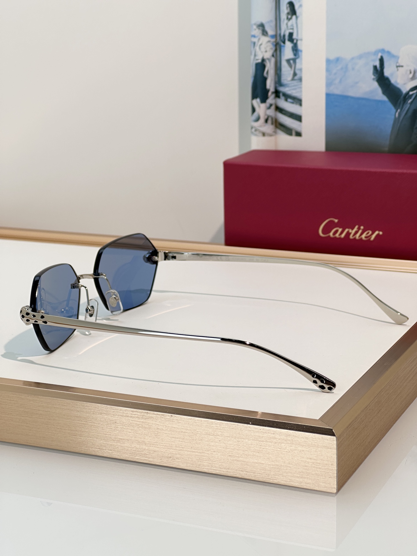 Designer Sunglasses CT0636S