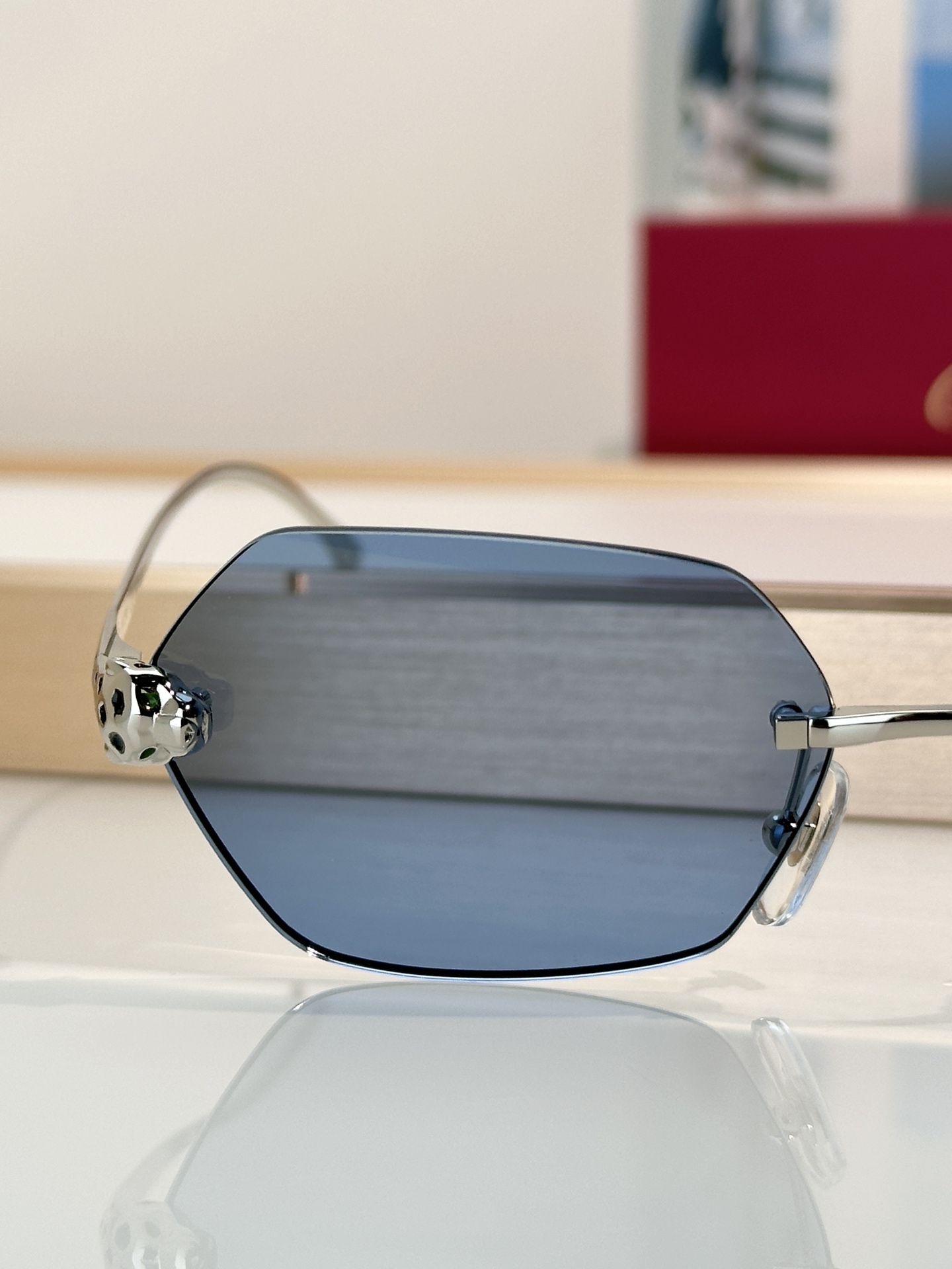 Designer Sunglasses CT0636S