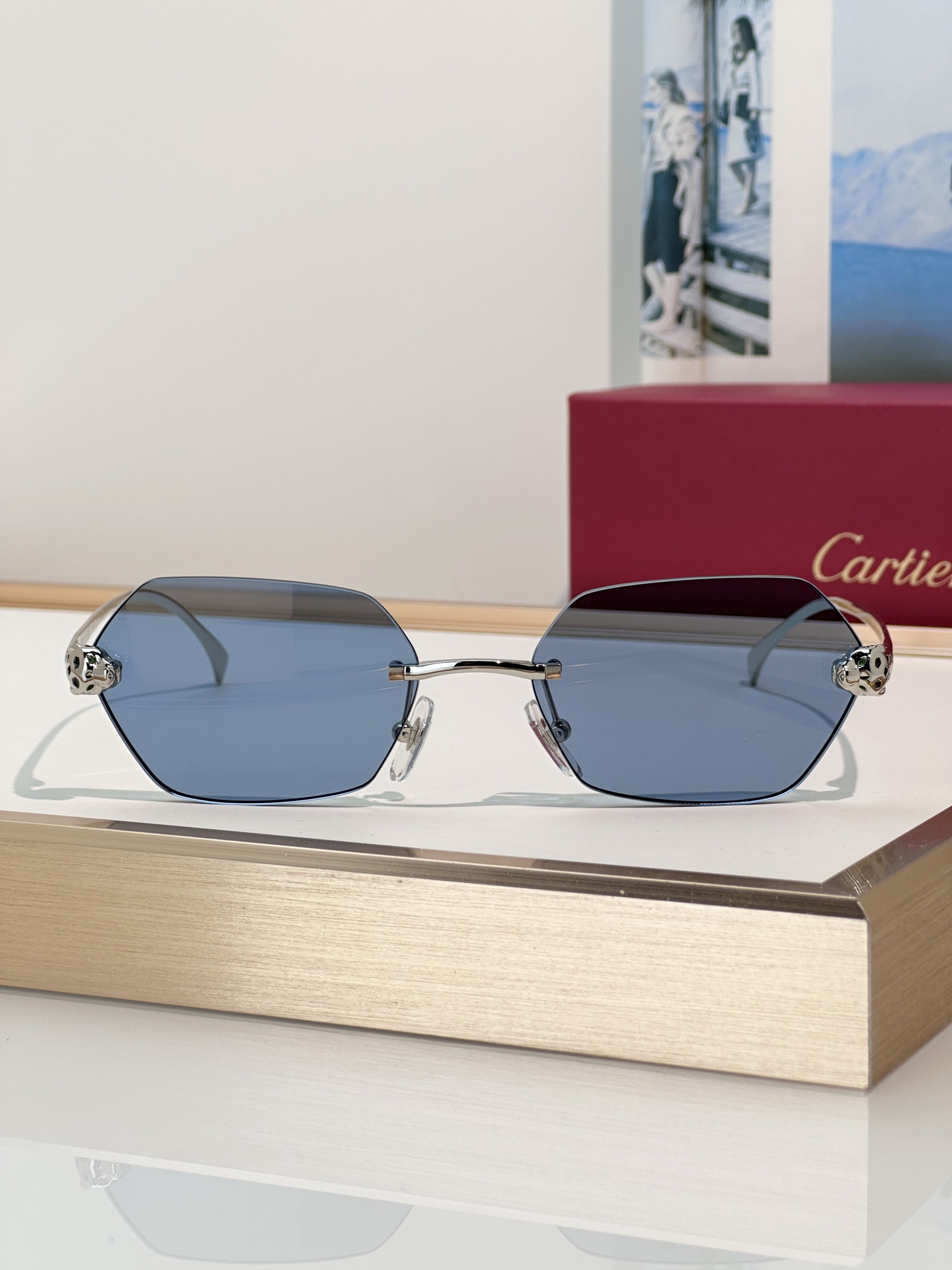 Designer Sunglasses CT0636S