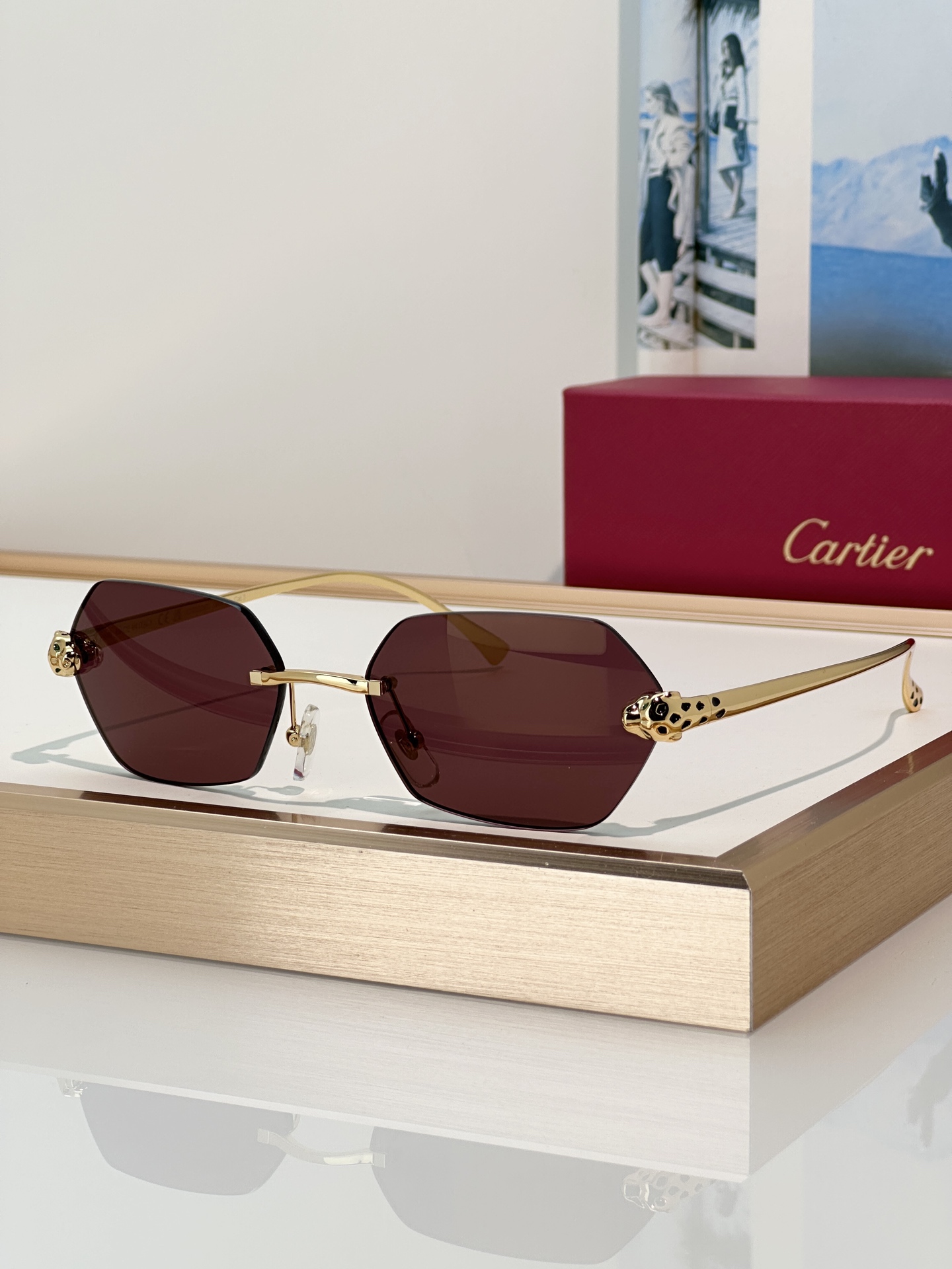 Designer Sunglasses CT0636S