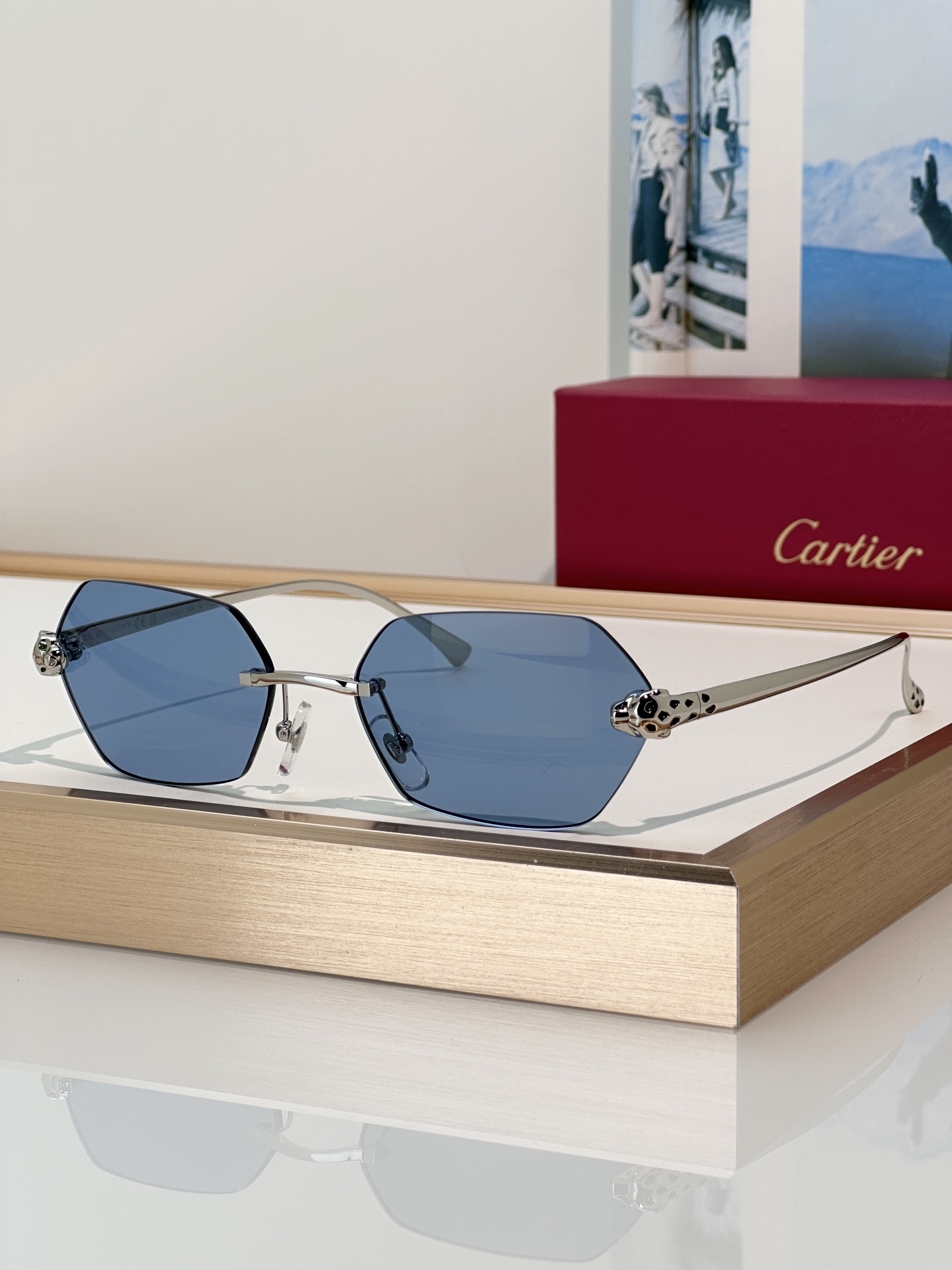 Designer Sunglasses CT0636S