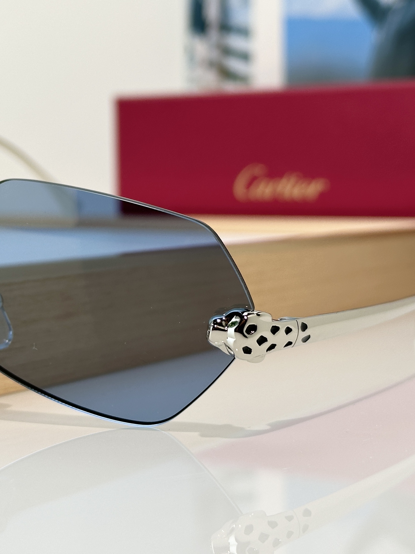 Designer Sunglasses CT0636S