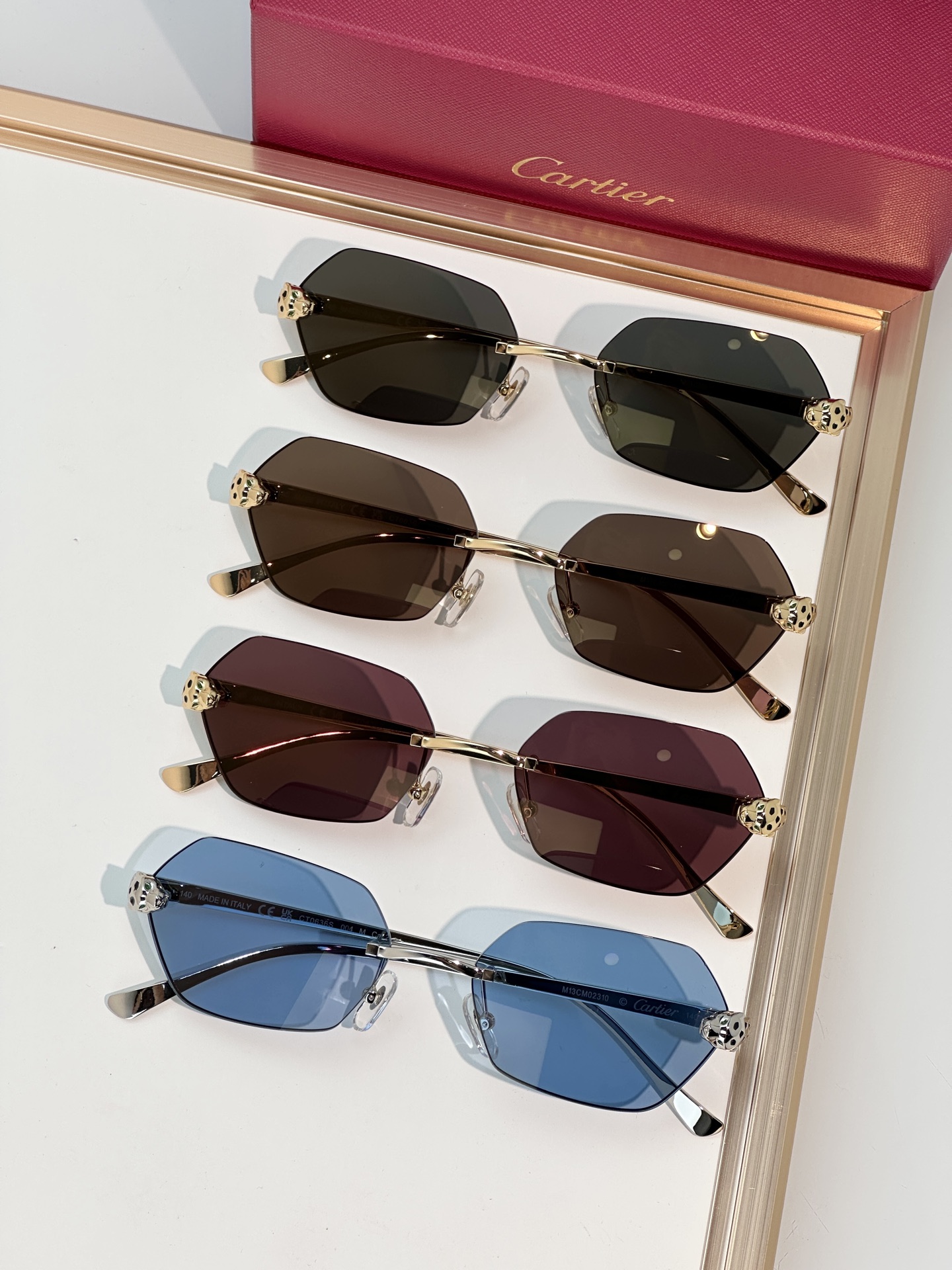 Designer Sunglasses CT0636S