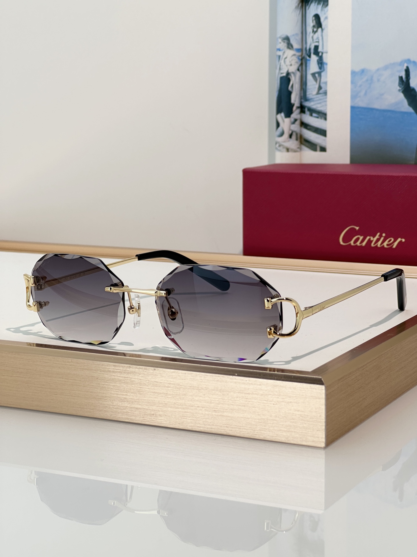 Designer Sunglasses CT0105O