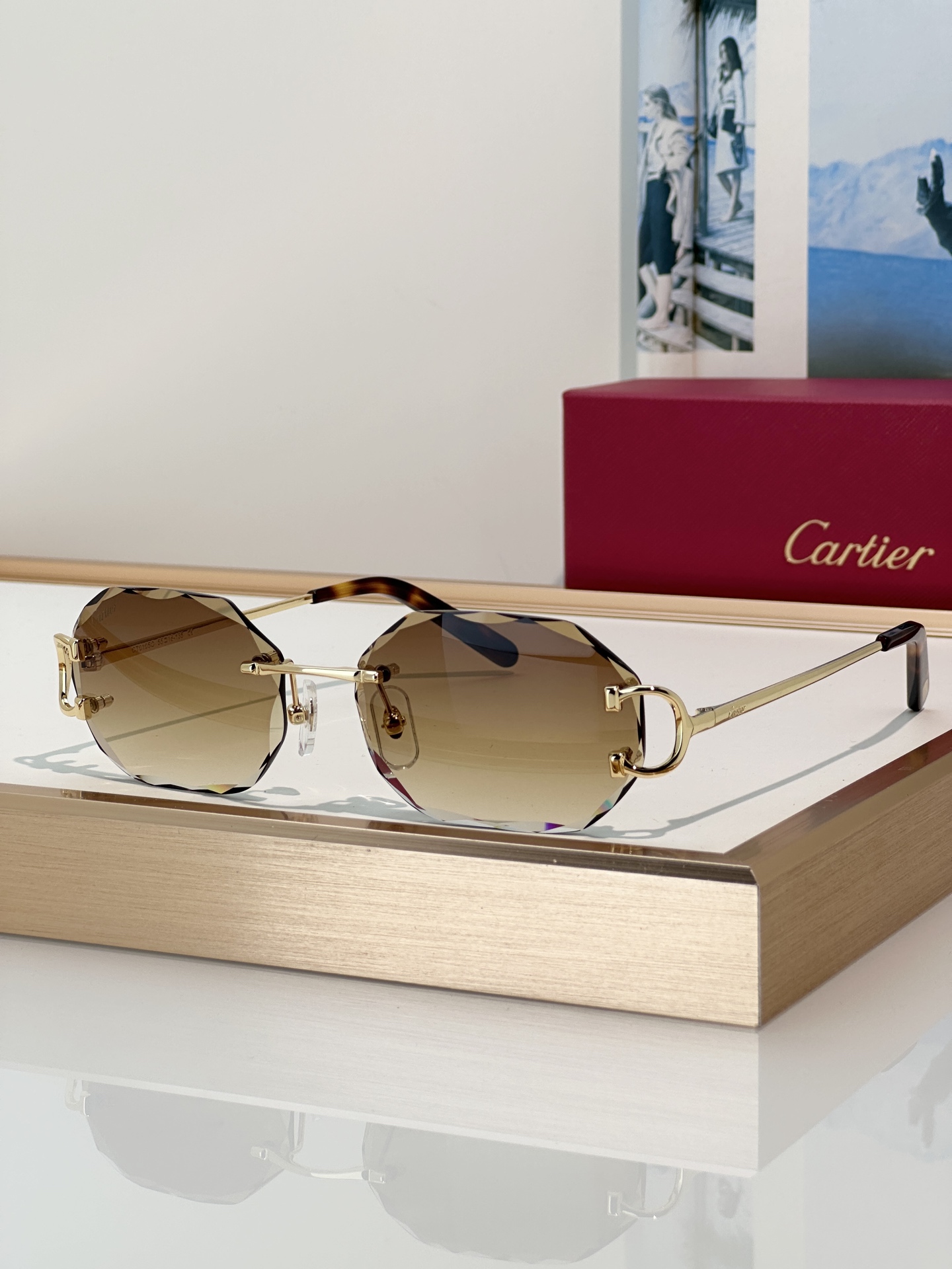 Designer Sunglasses CT0105O