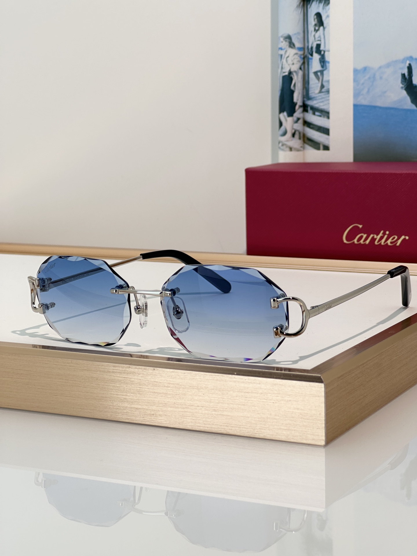 Designer Sunglasses CT0105O