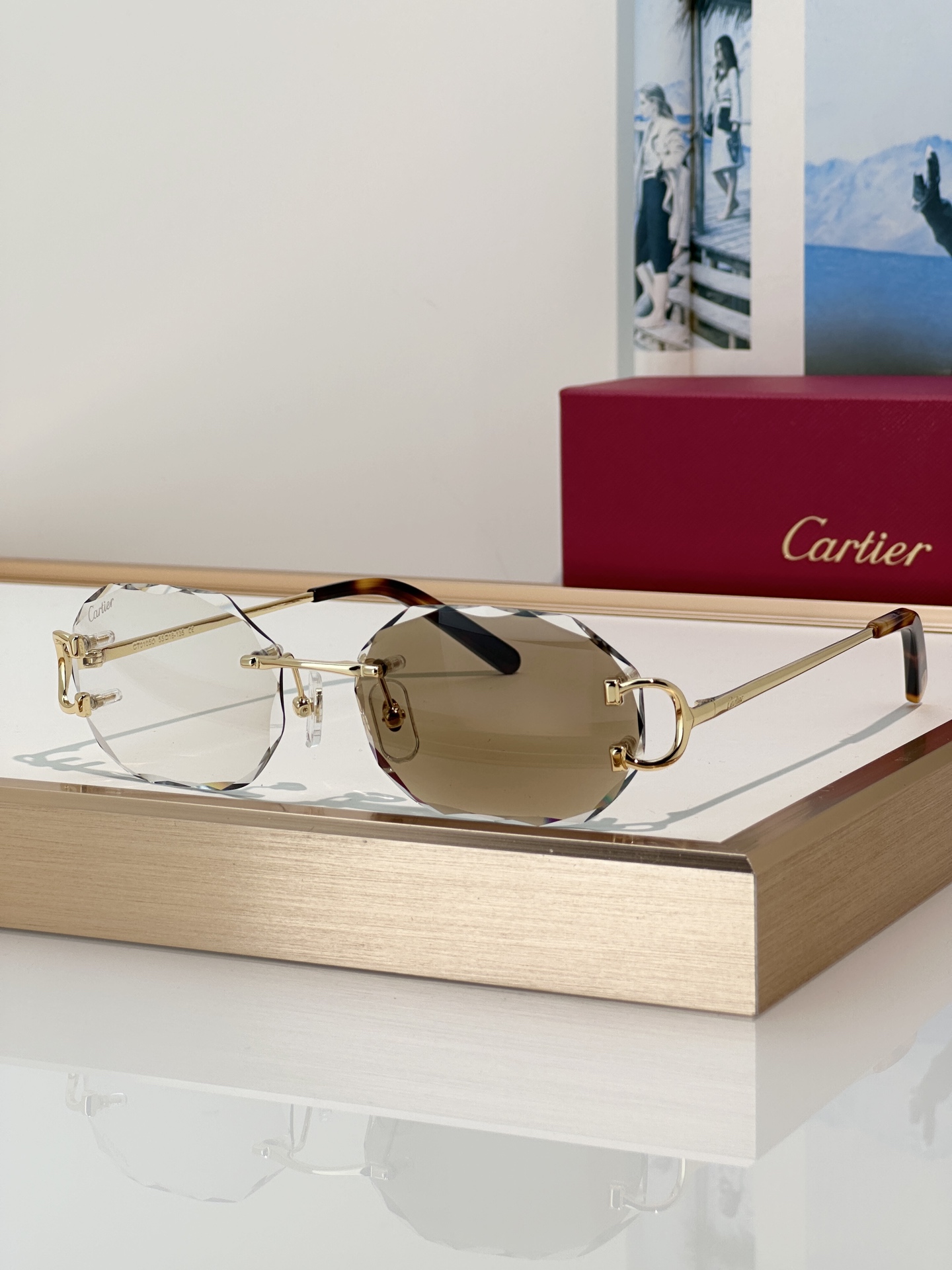 Designer Sunglasses CT0105O