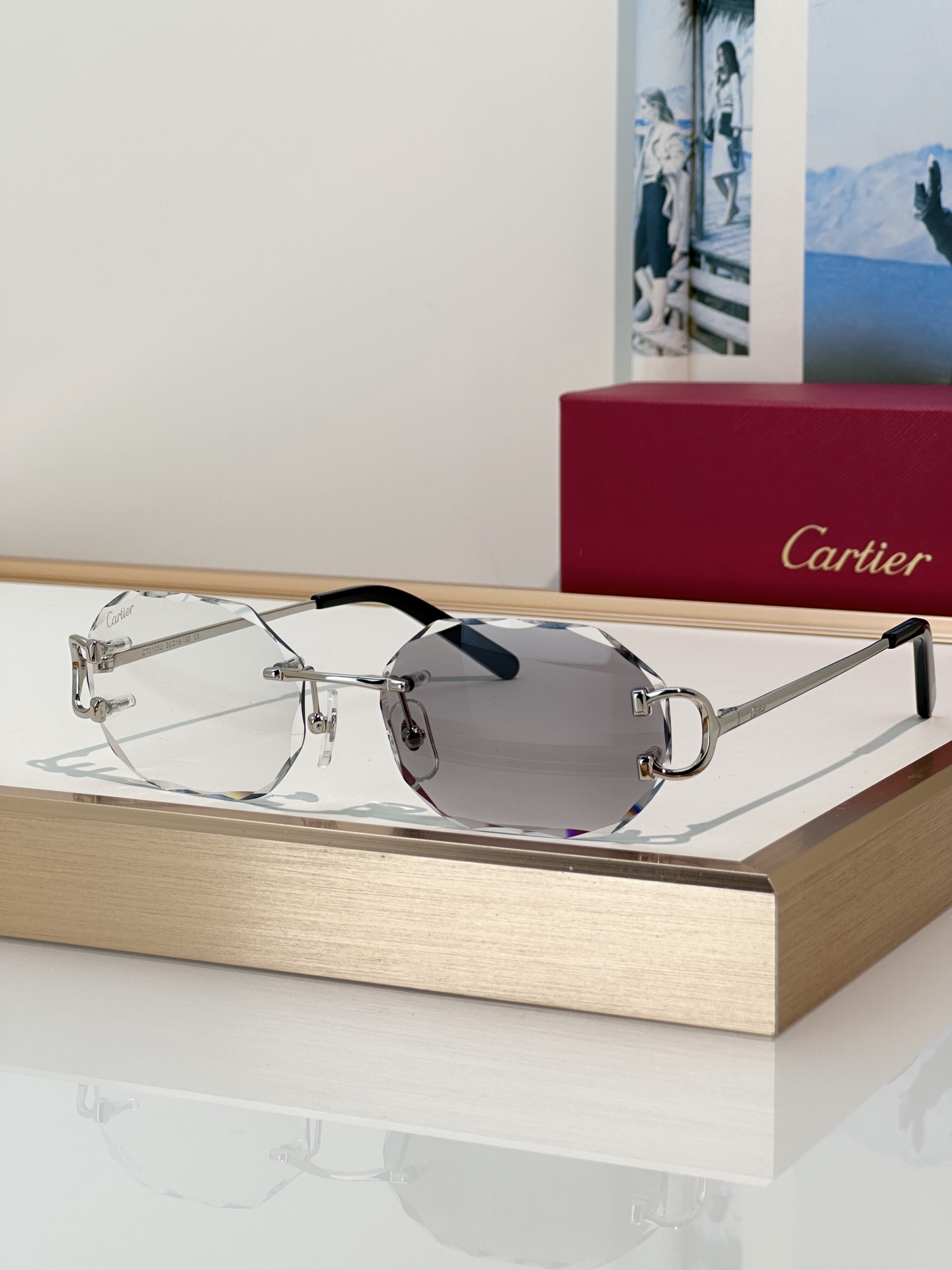Designer Sunglasses CT0105O