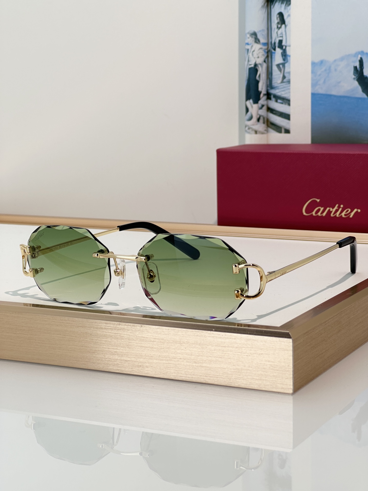 Designer Sunglasses CT0105O