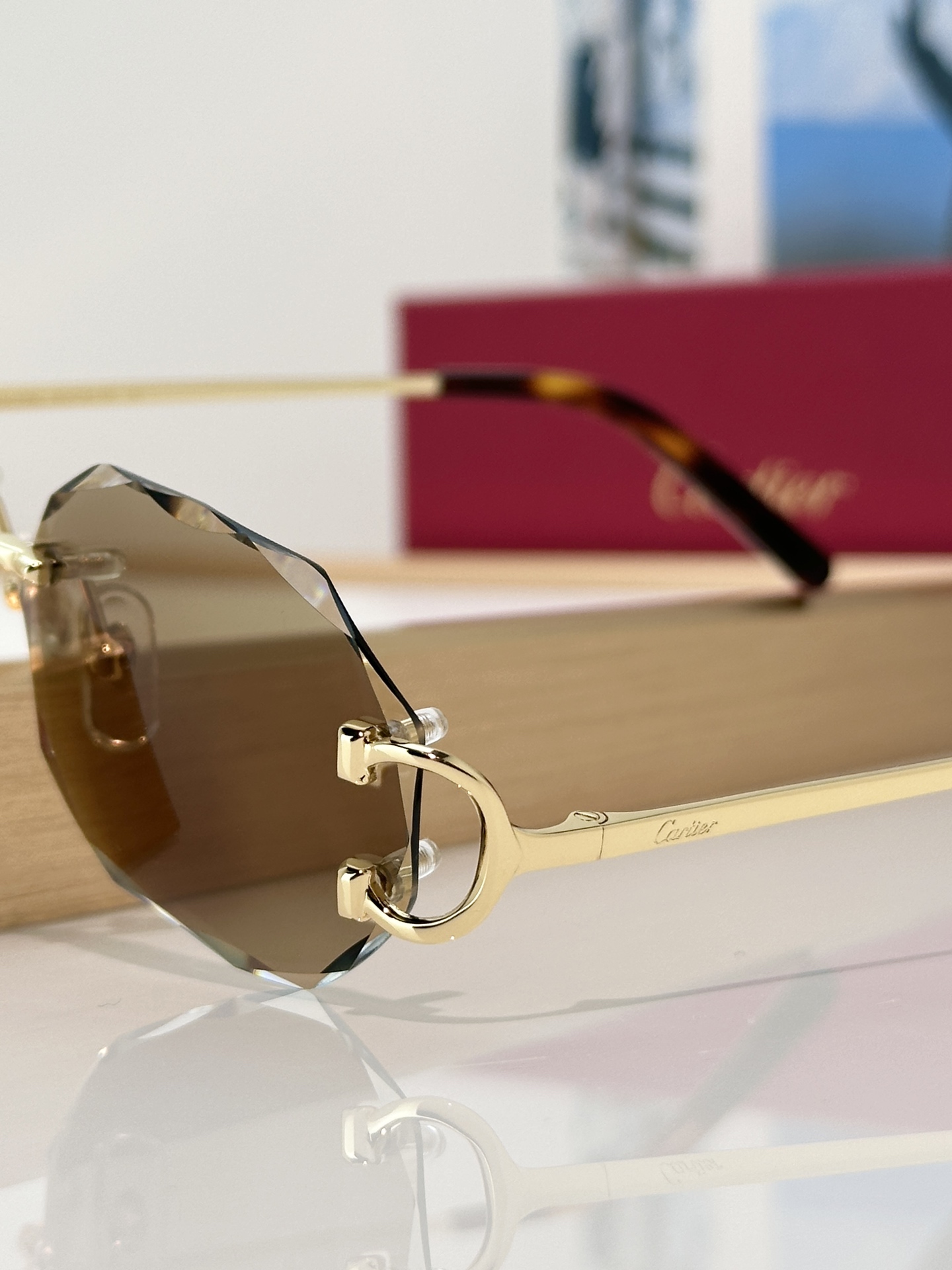 Designer Sunglasses CT0105O