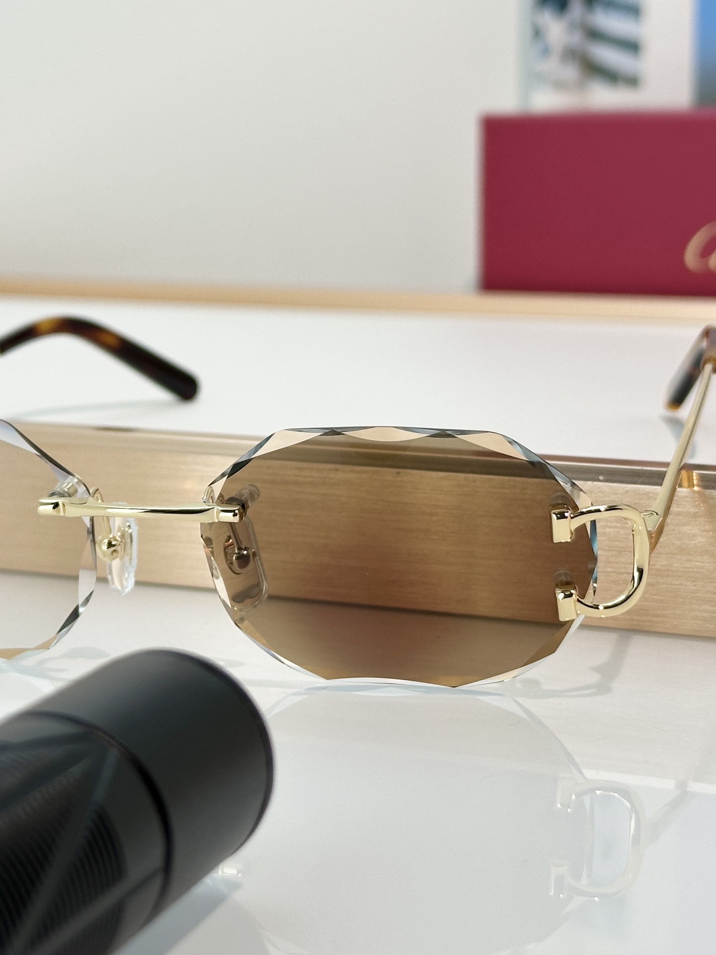 Designer Sunglasses CT0105O