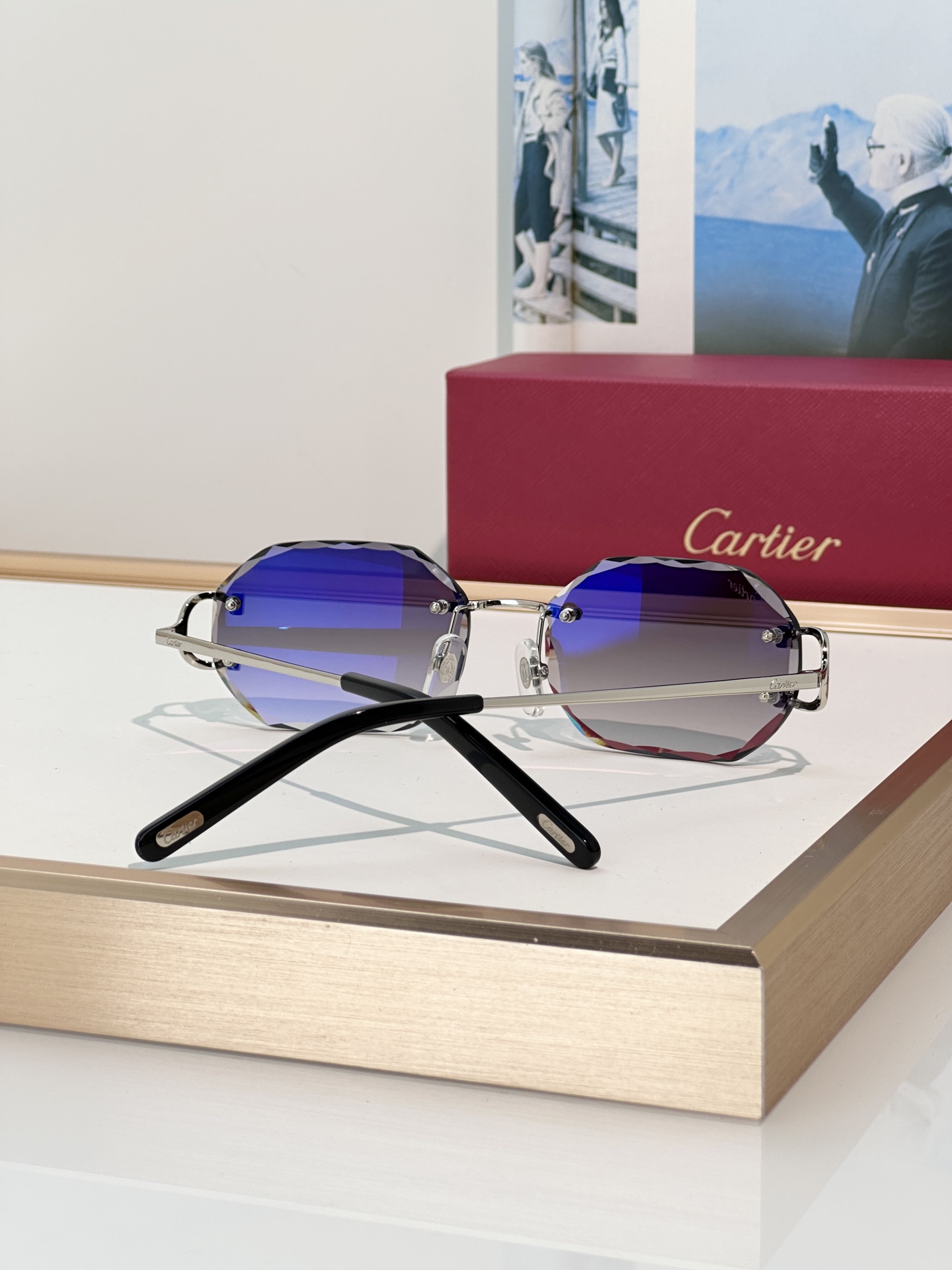 Designer Sunglasses CT0105O