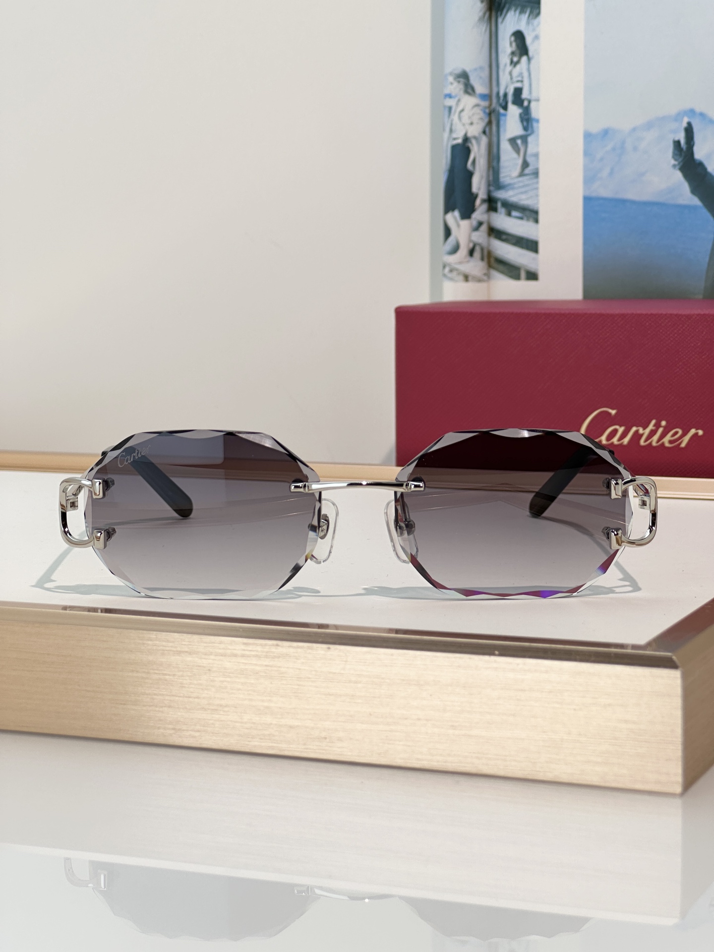 Designer Sunglasses CT0105O