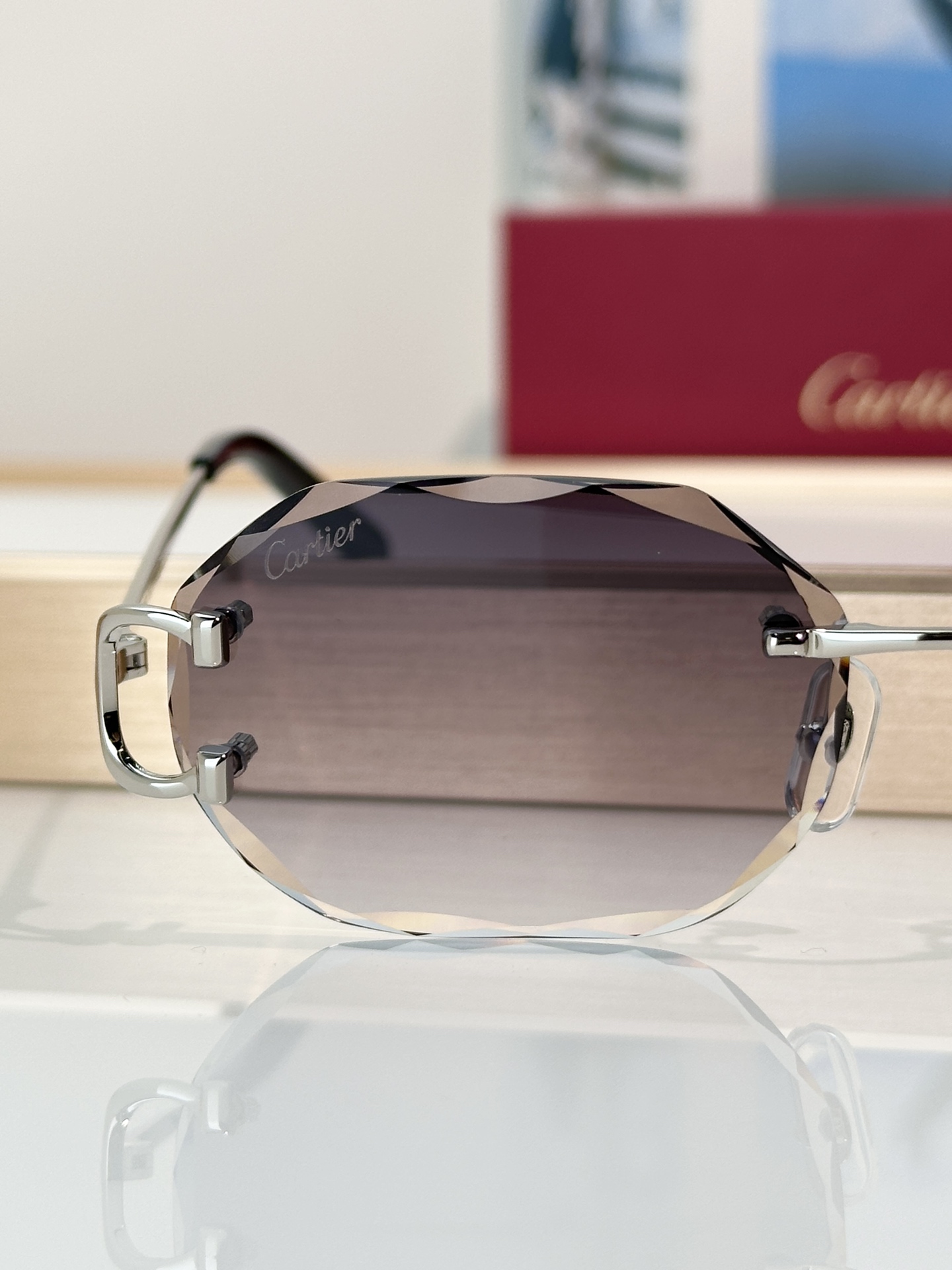 Designer Sunglasses CT0105O