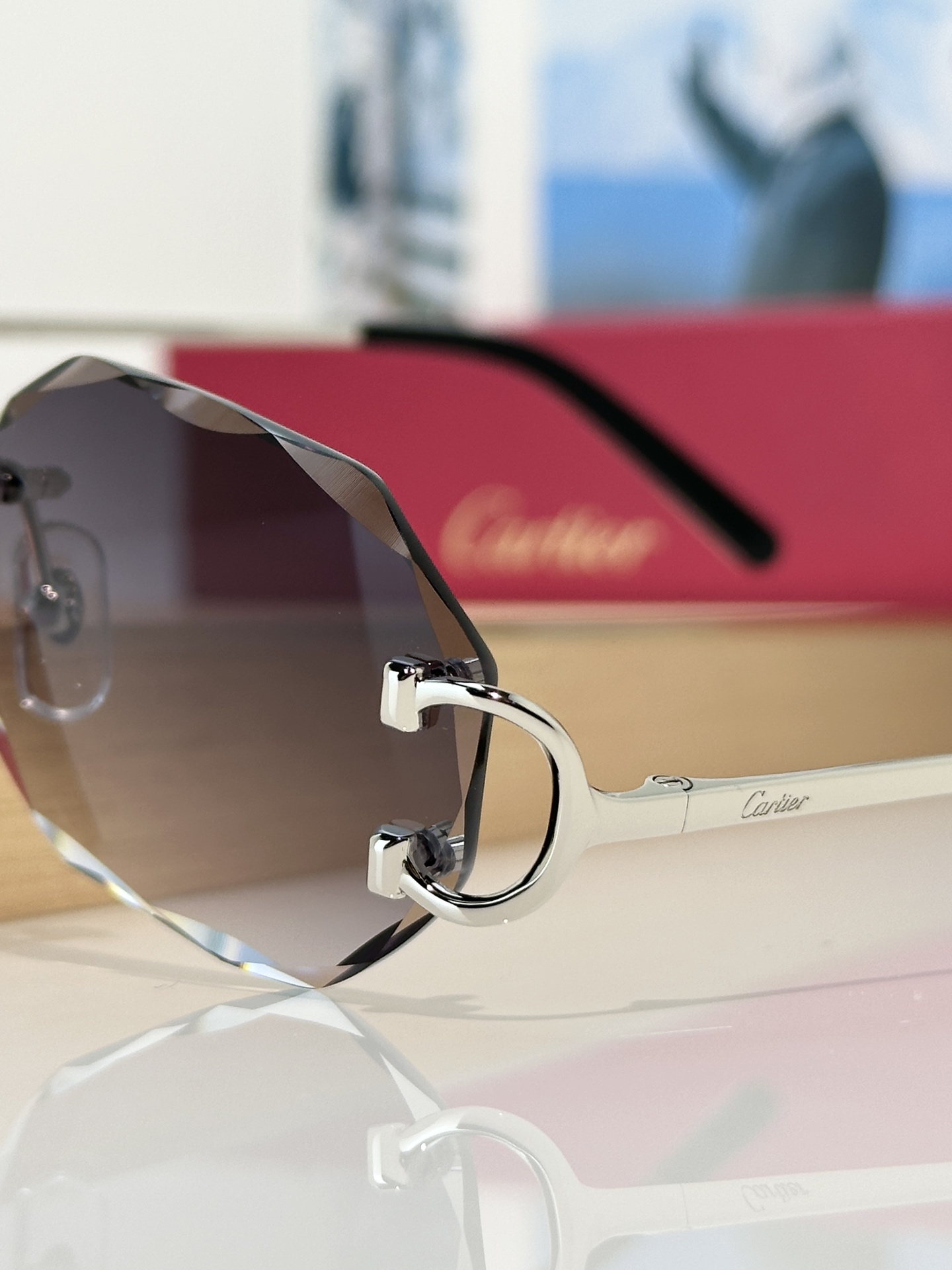 Designer Sunglasses CT0105O