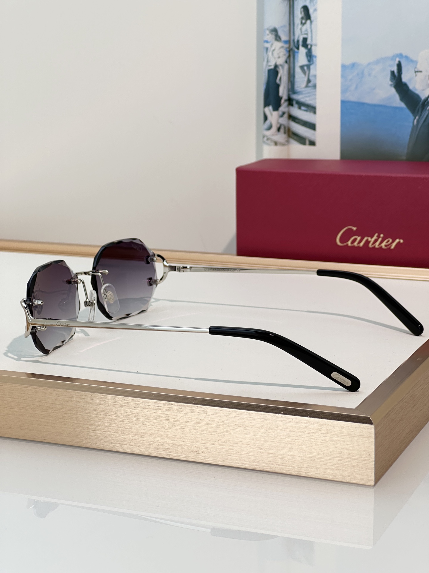 Designer Sunglasses CT0105O