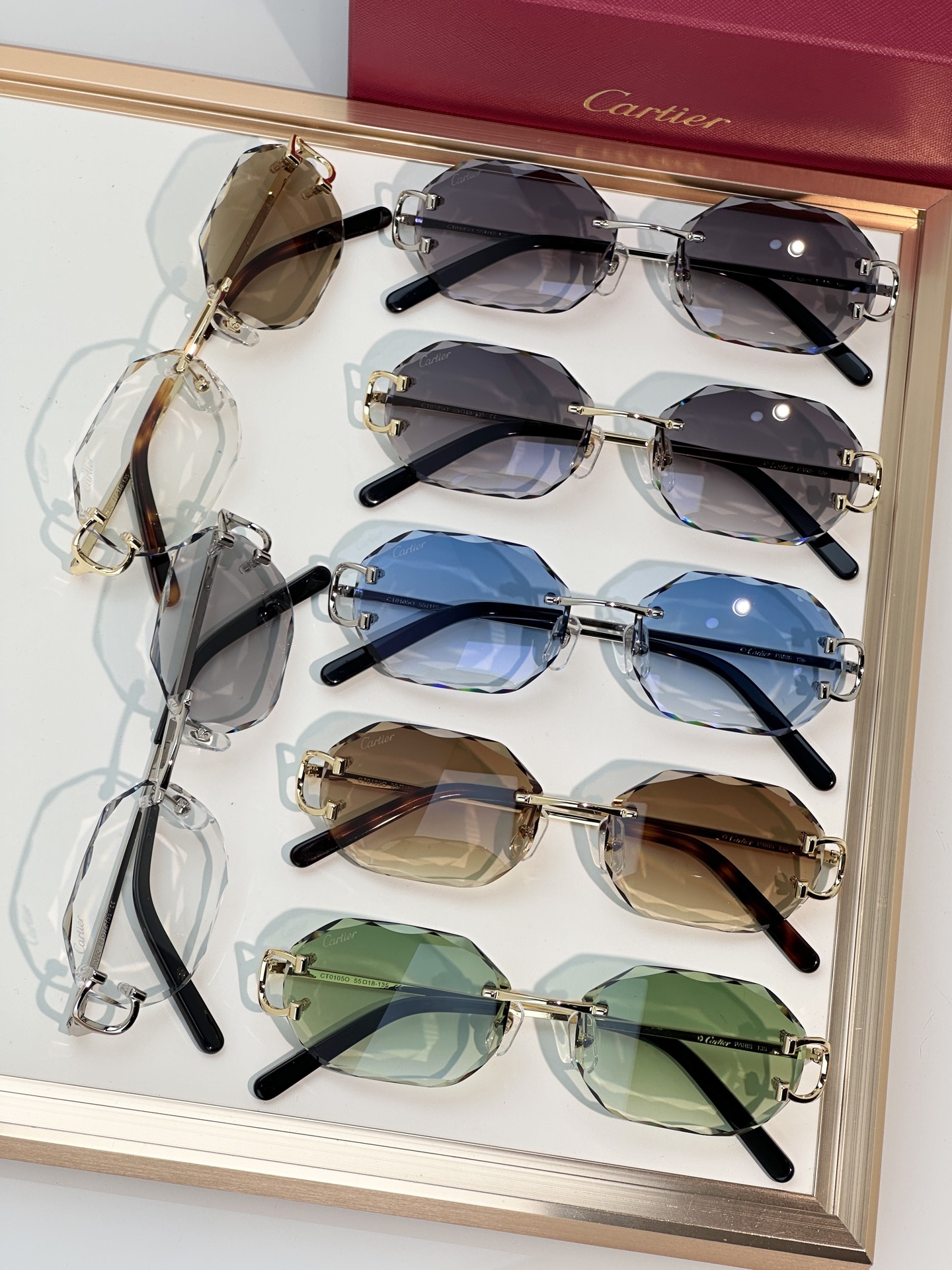 Designer Sunglasses CT0105O