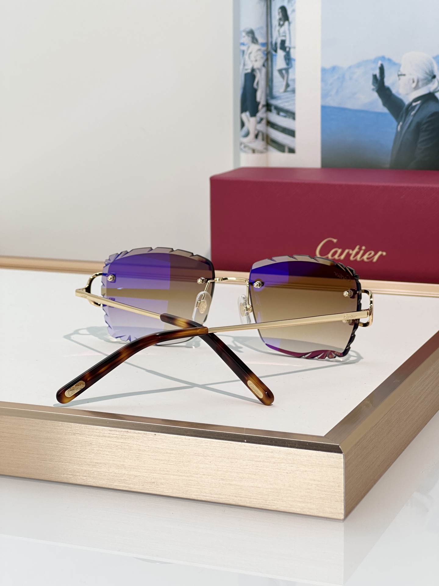 Designer Sunglasses CT0106O