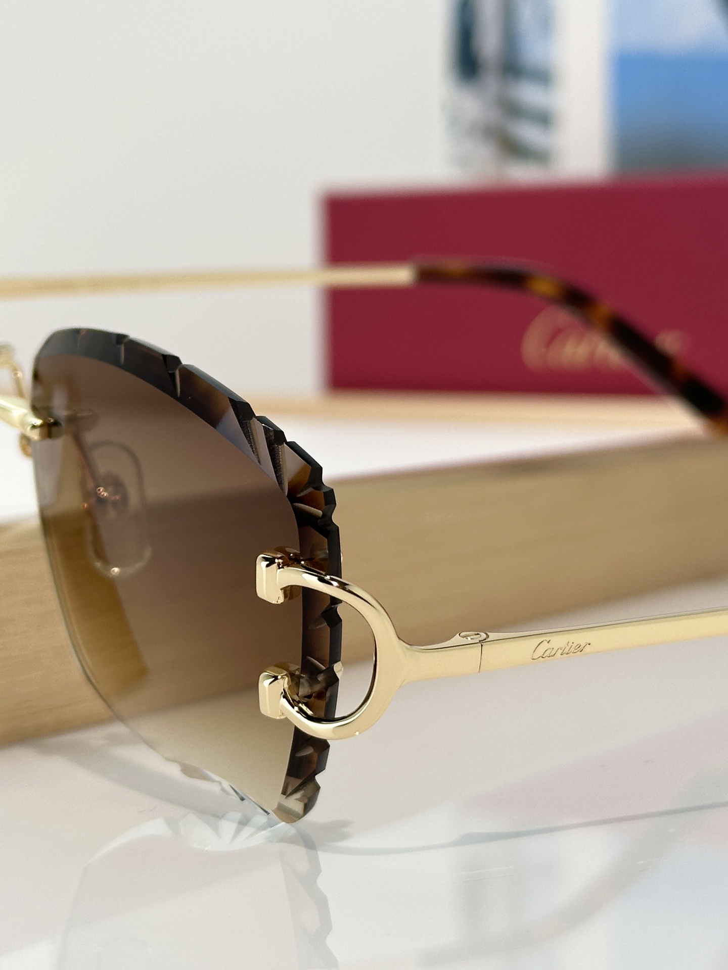 Designer Sunglasses CT0106O