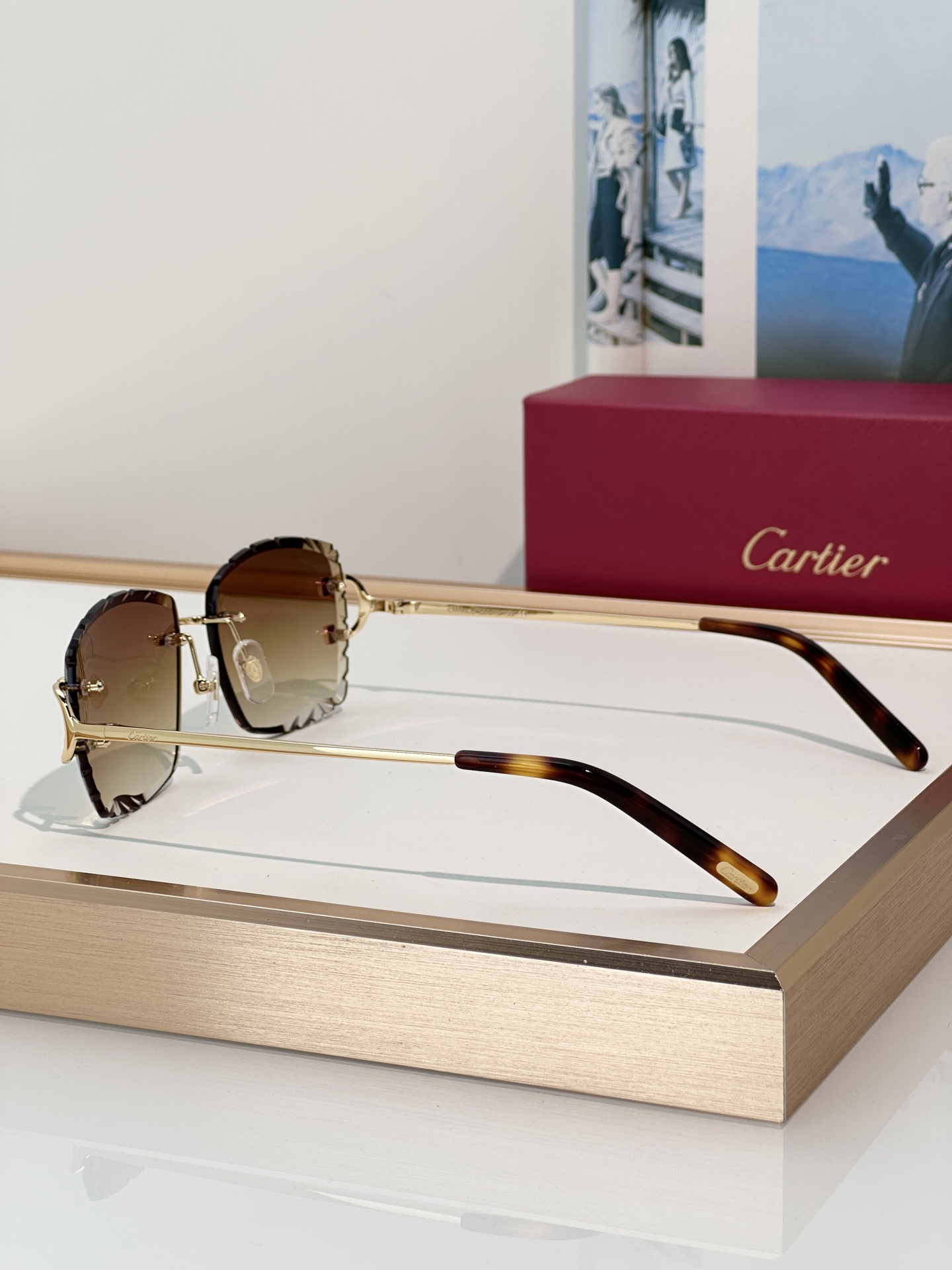 Designer Sunglasses CT0106O