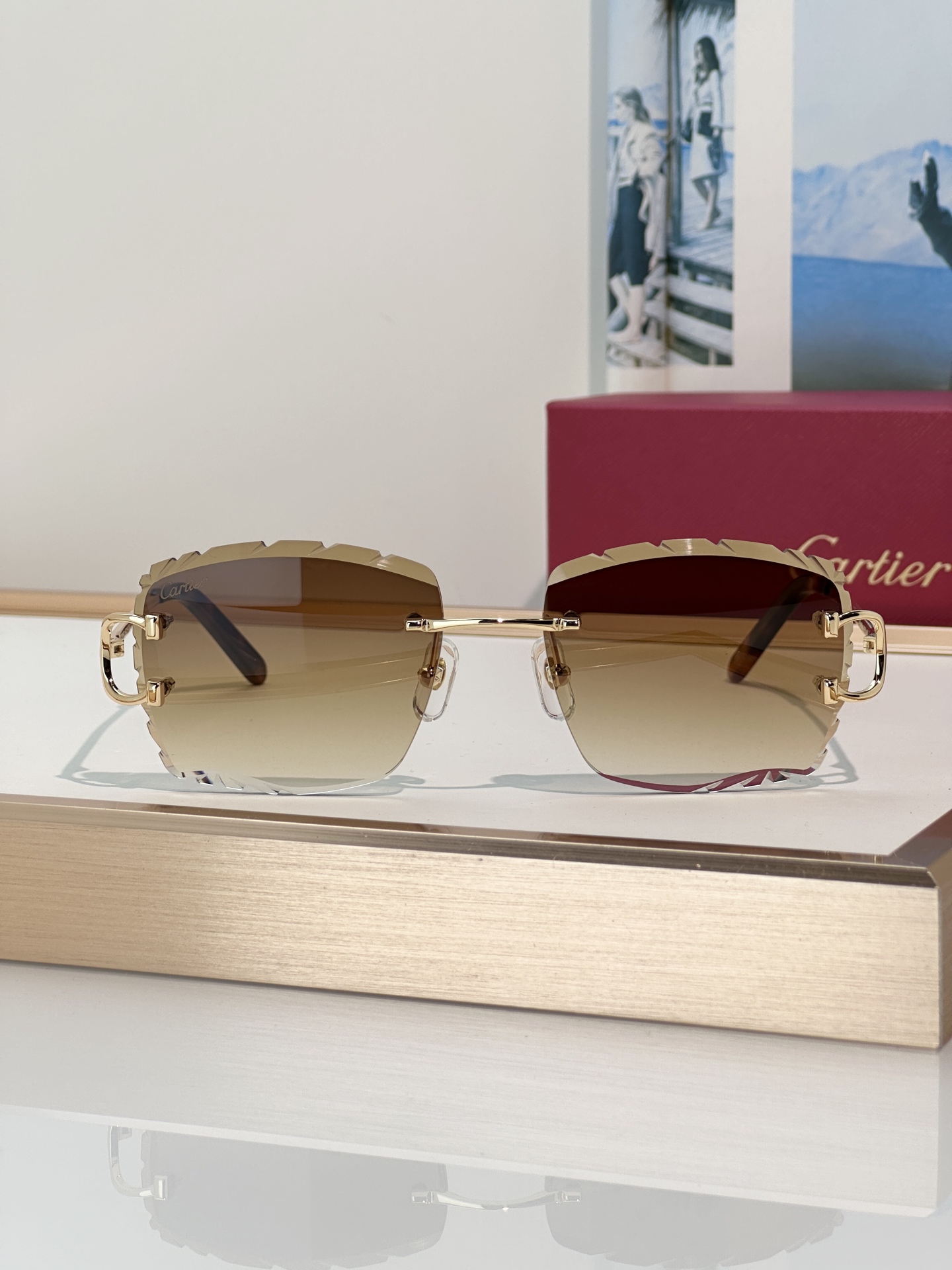 Designer Sunglasses CT0106O