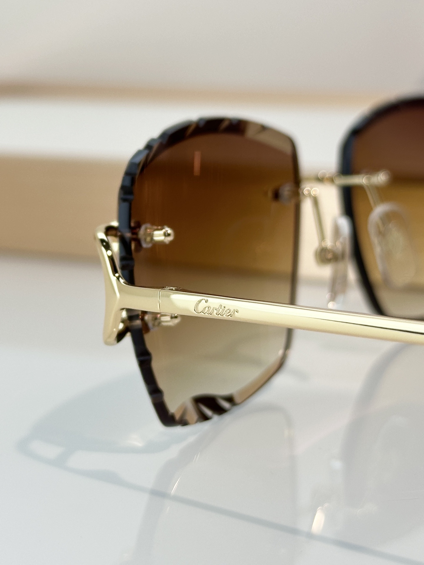 Designer Sunglasses CT0106O