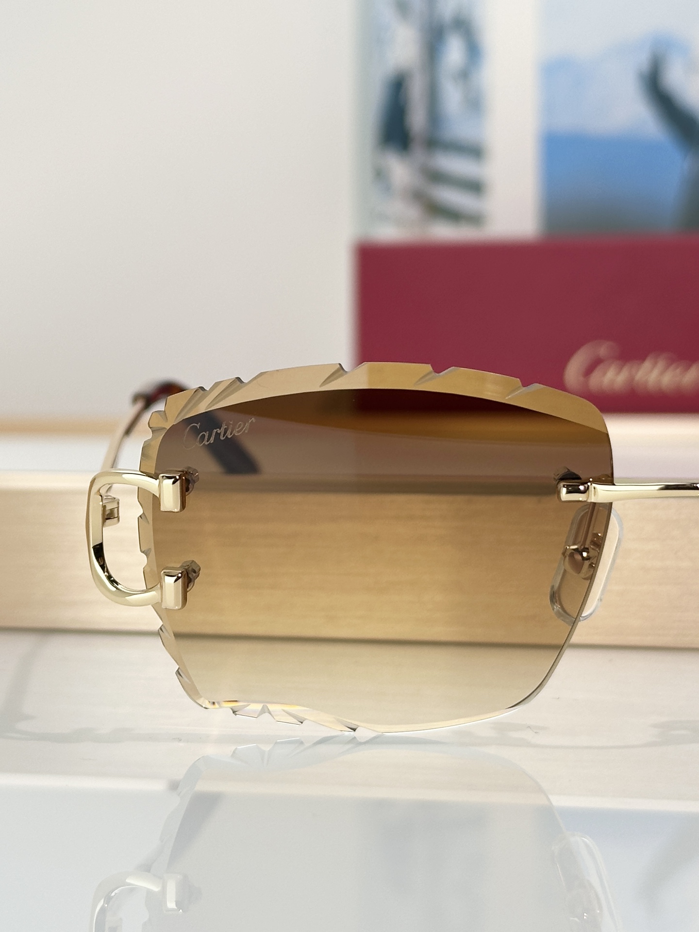 Designer Sunglasses CT0106O