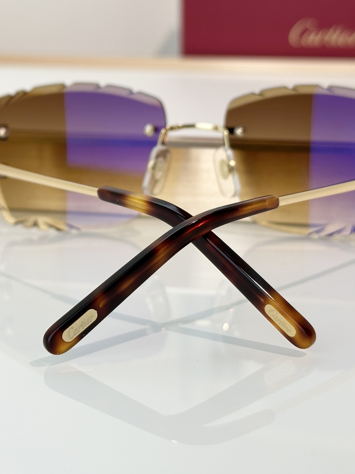 Designer Sunglasses CT0106O