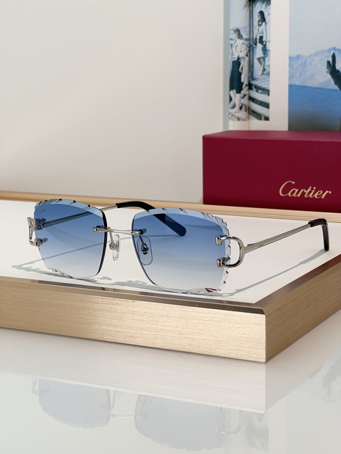 Designer Sunglasses CT0106O