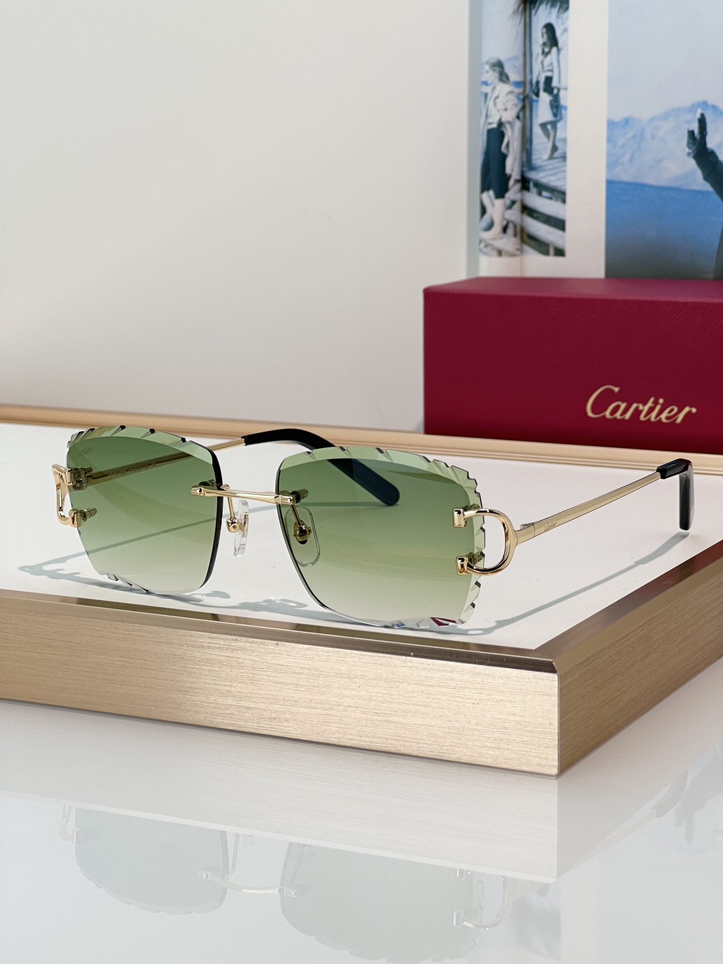 Designer Sunglasses CT0106O