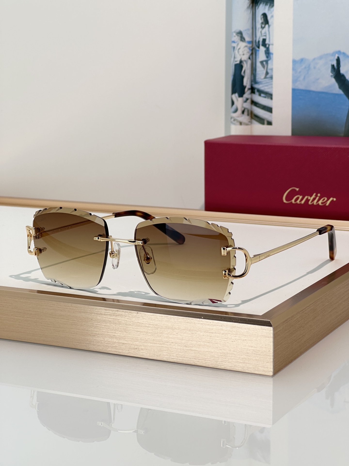 Designer Sunglasses CT0106O