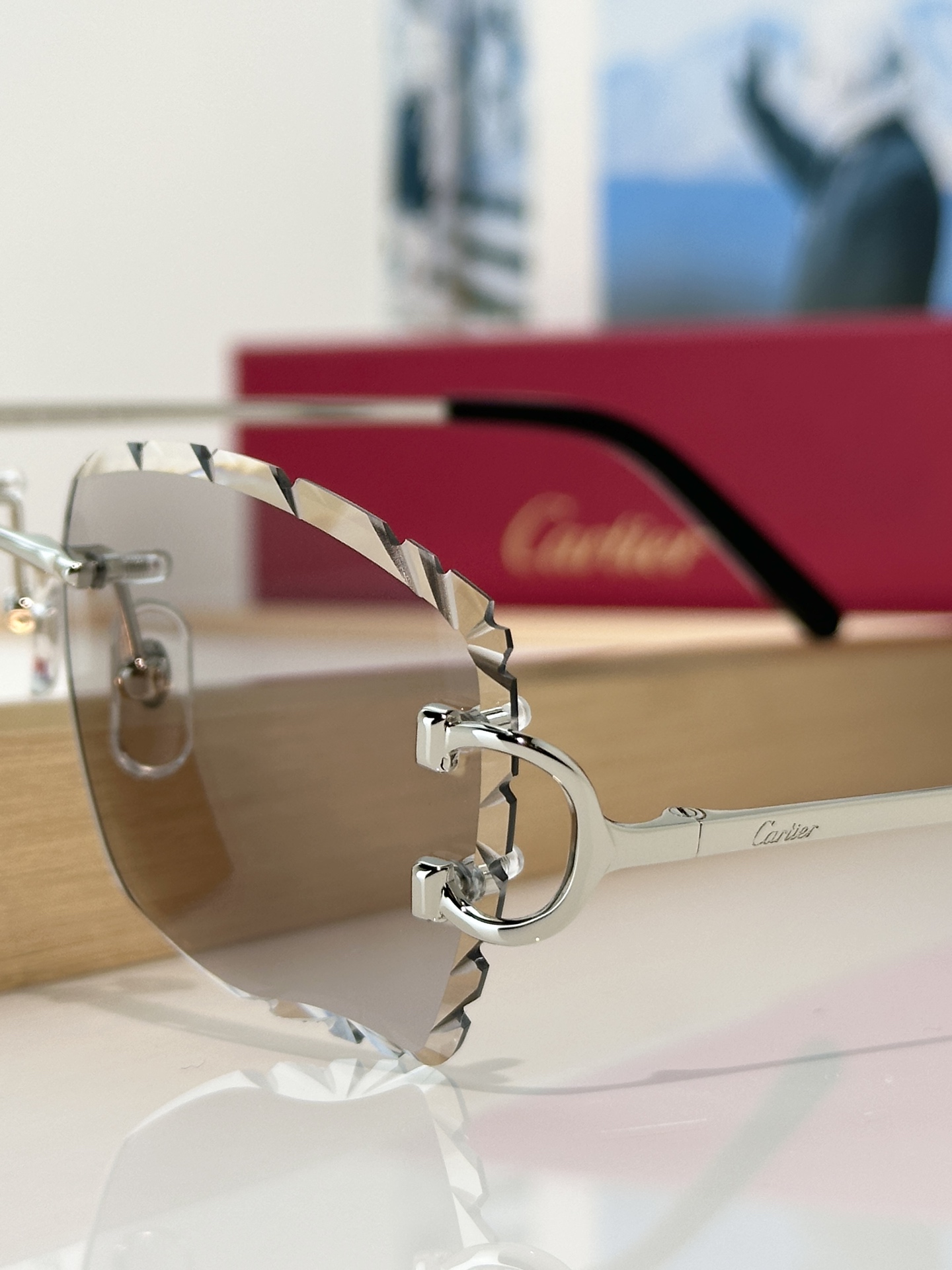 Designer Sunglasses CT0106O
