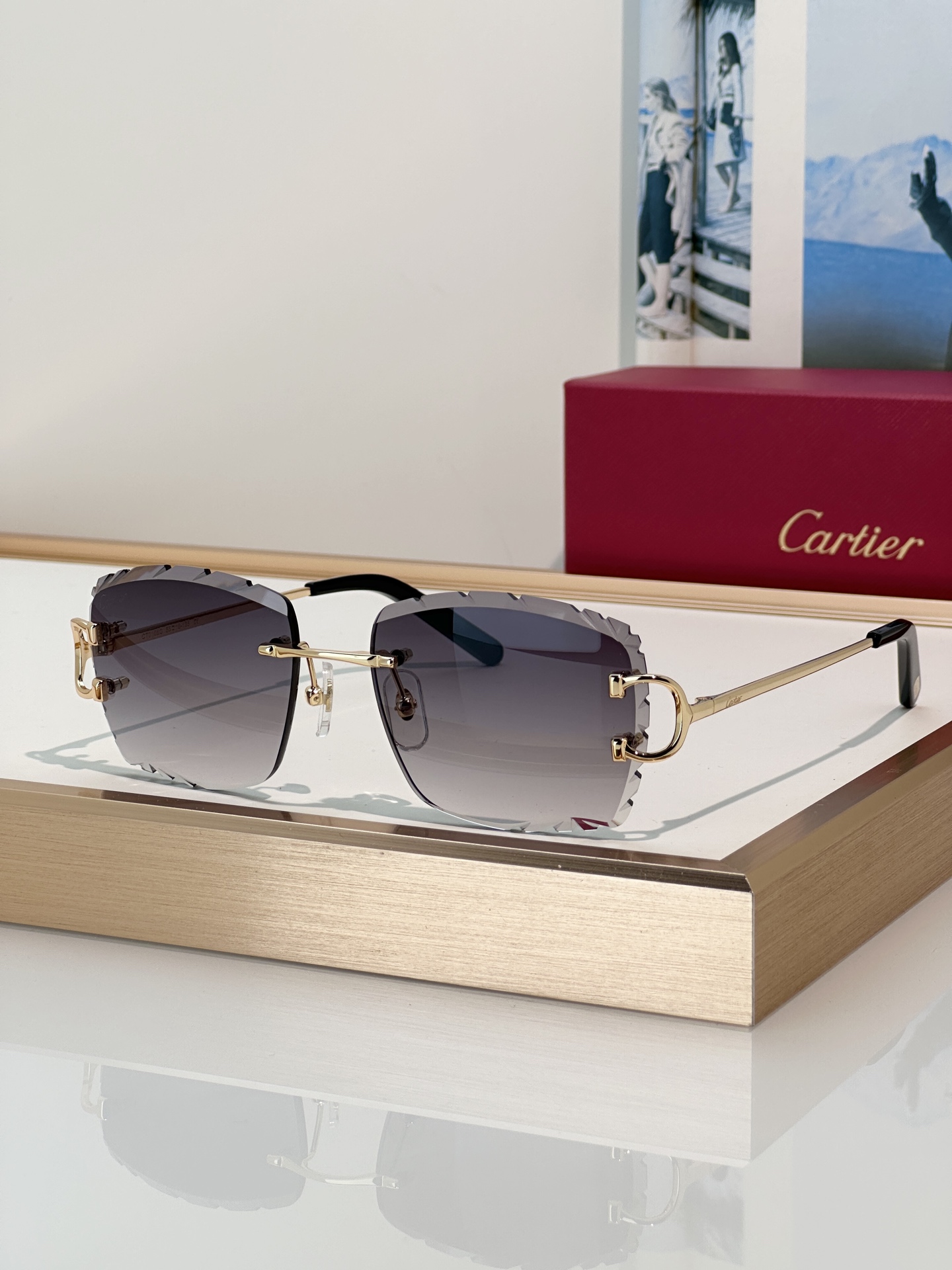 Designer Sunglasses CT0106O