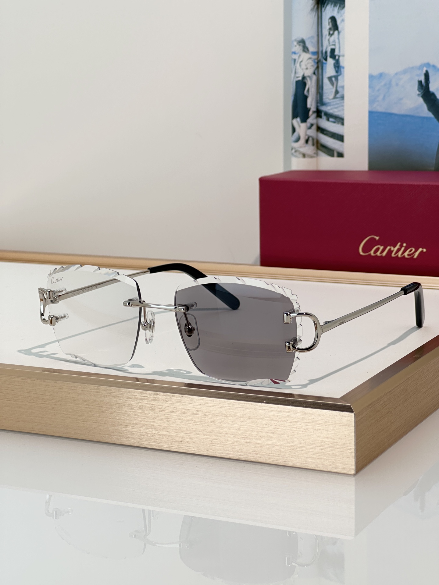 Designer Sunglasses CT0106O