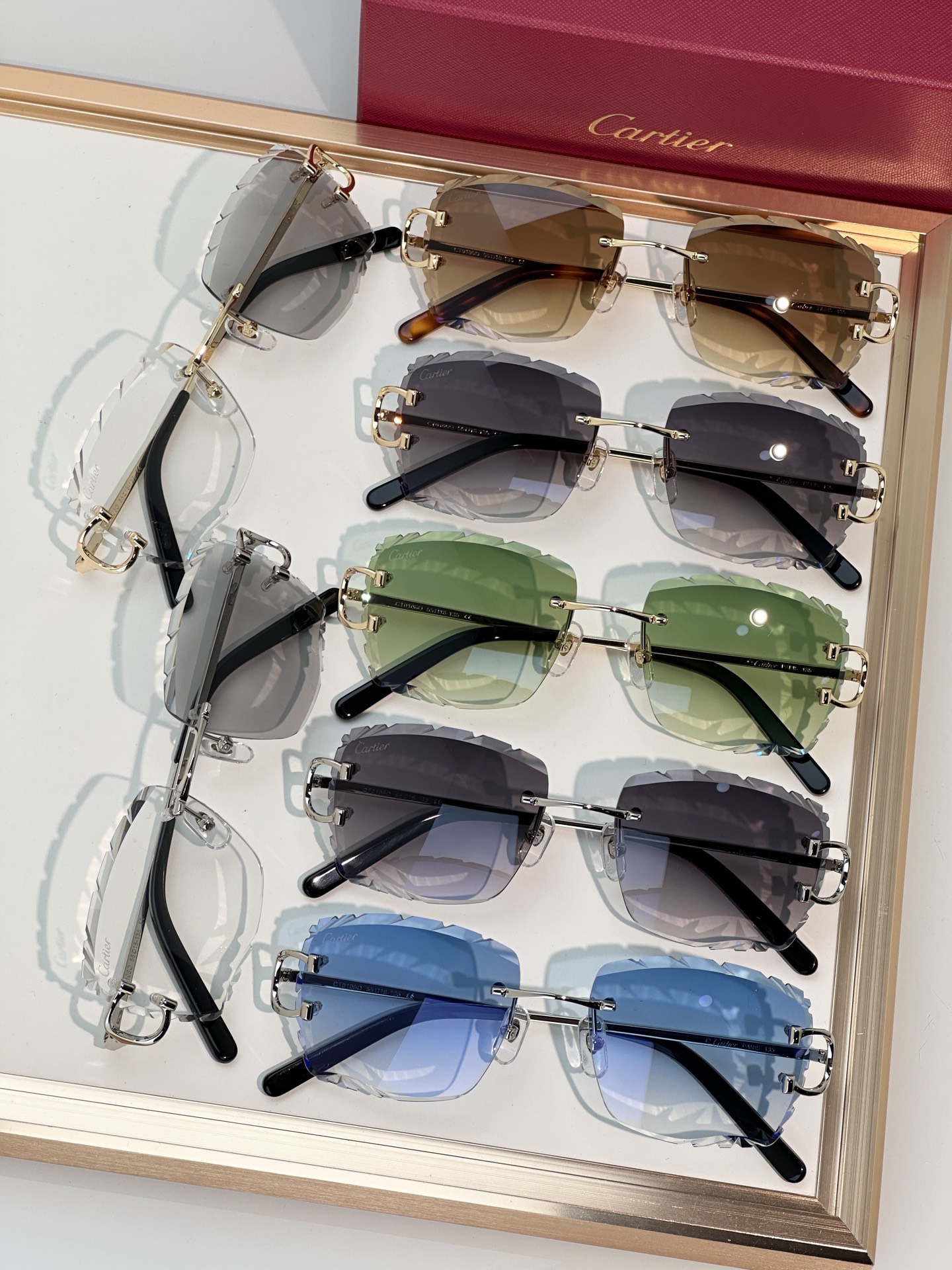 Designer Sunglasses CT0106O