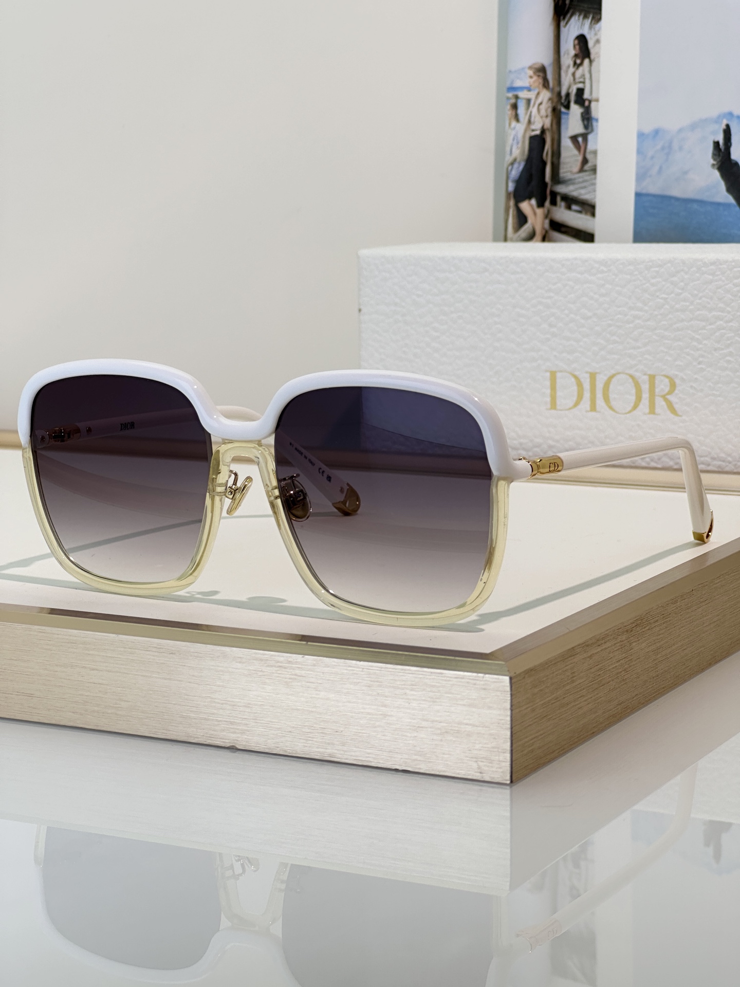Dior Sunglasses DiorTwincoIors