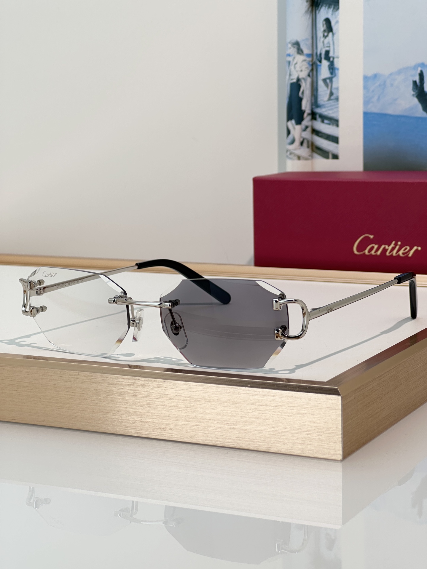 Designer Sunglasses CT0102O