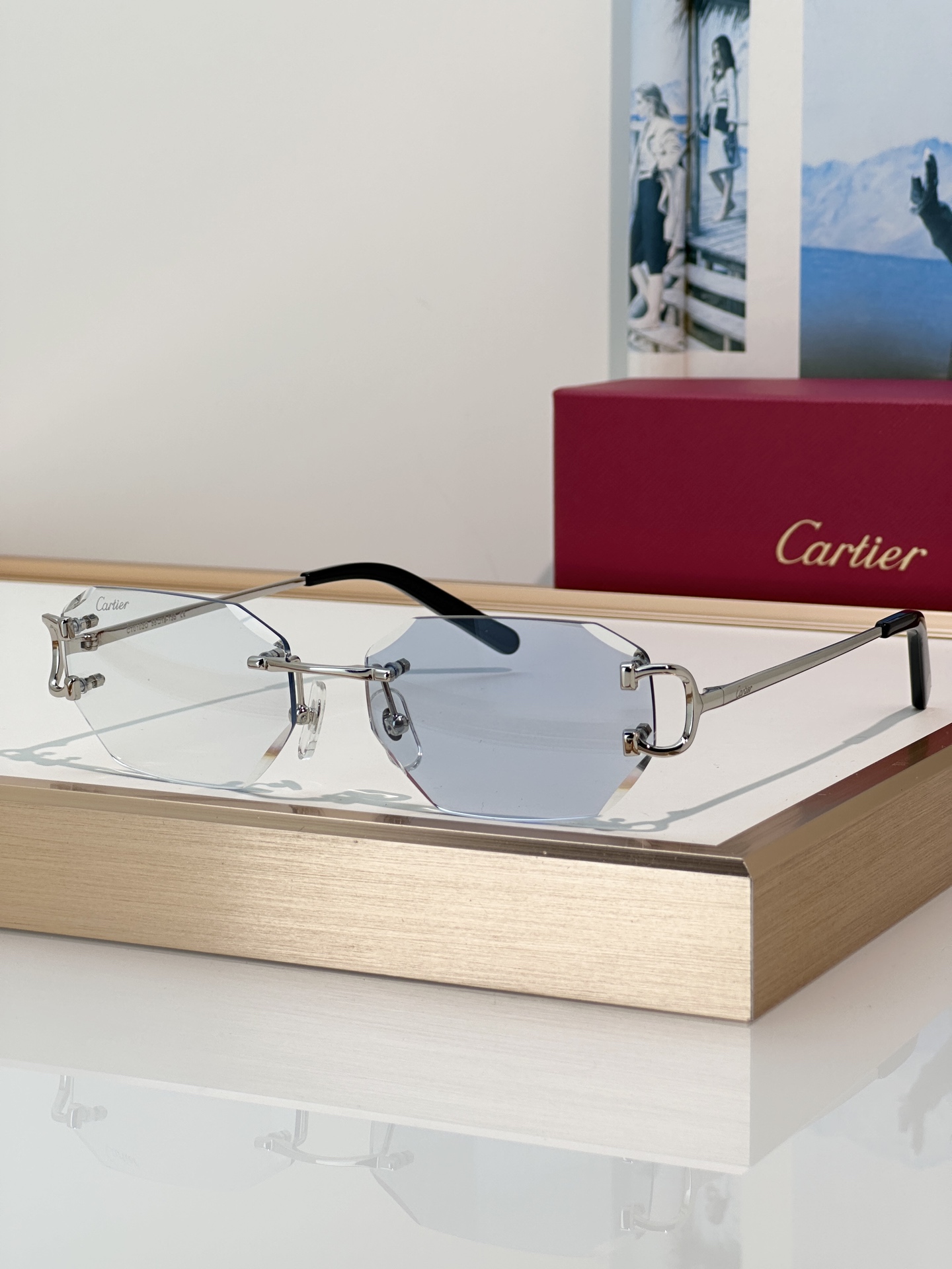 Designer Sunglasses CT0102O