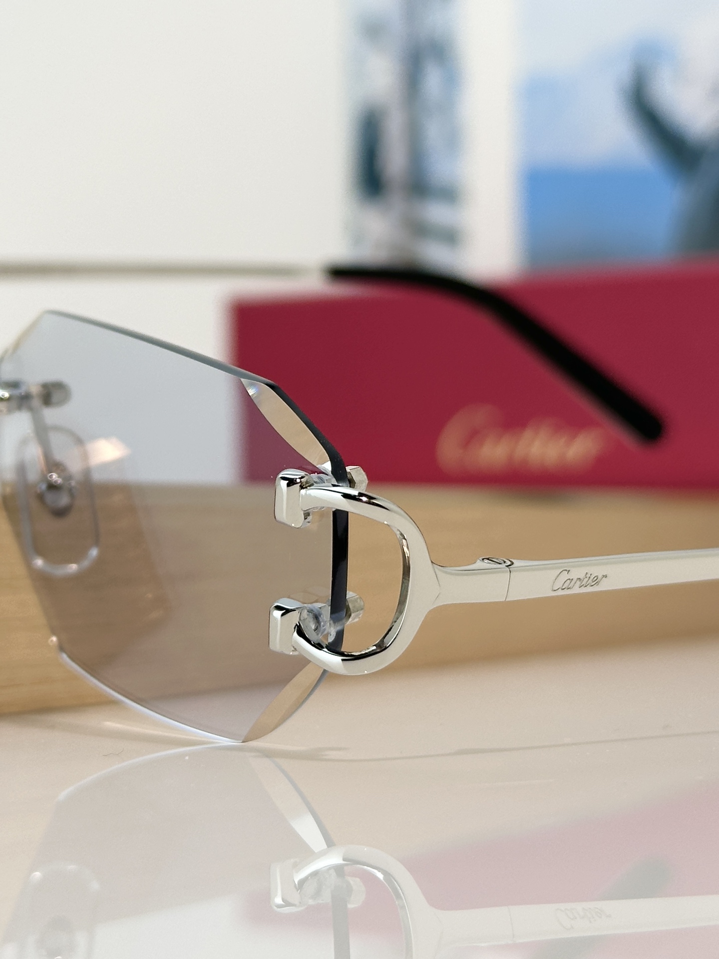 Designer Sunglasses CT0102O