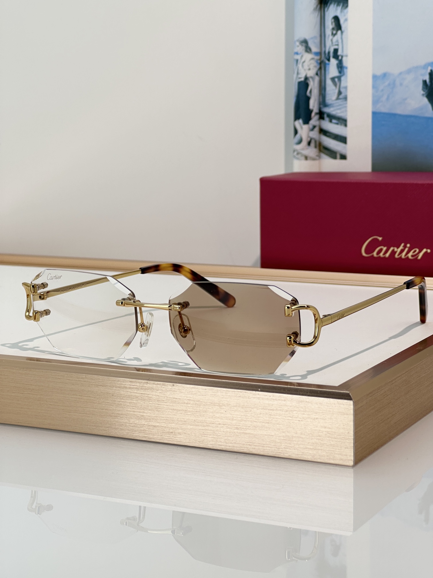 Designer Sunglasses CT0102O