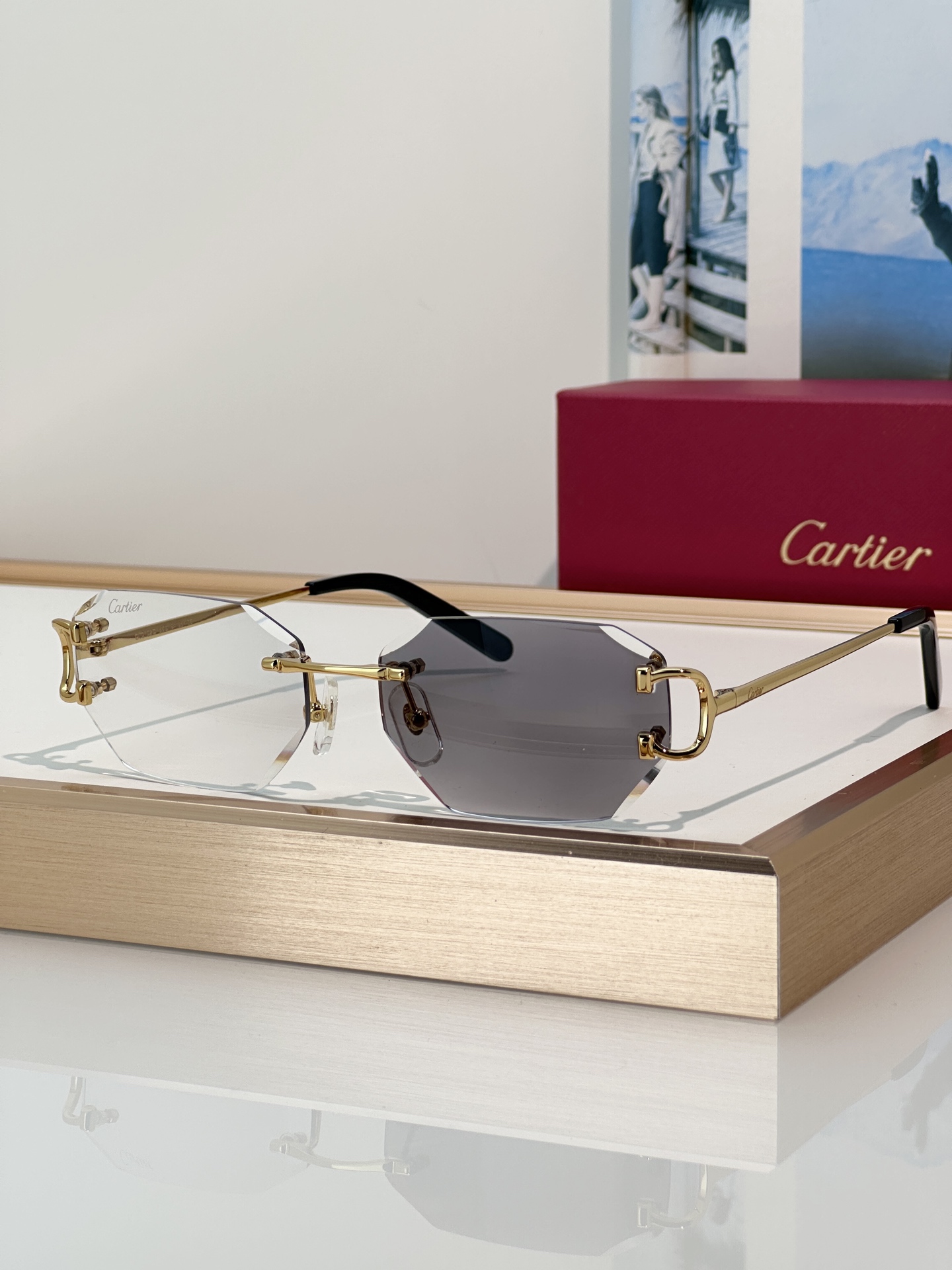 Designer Sunglasses CT0102O