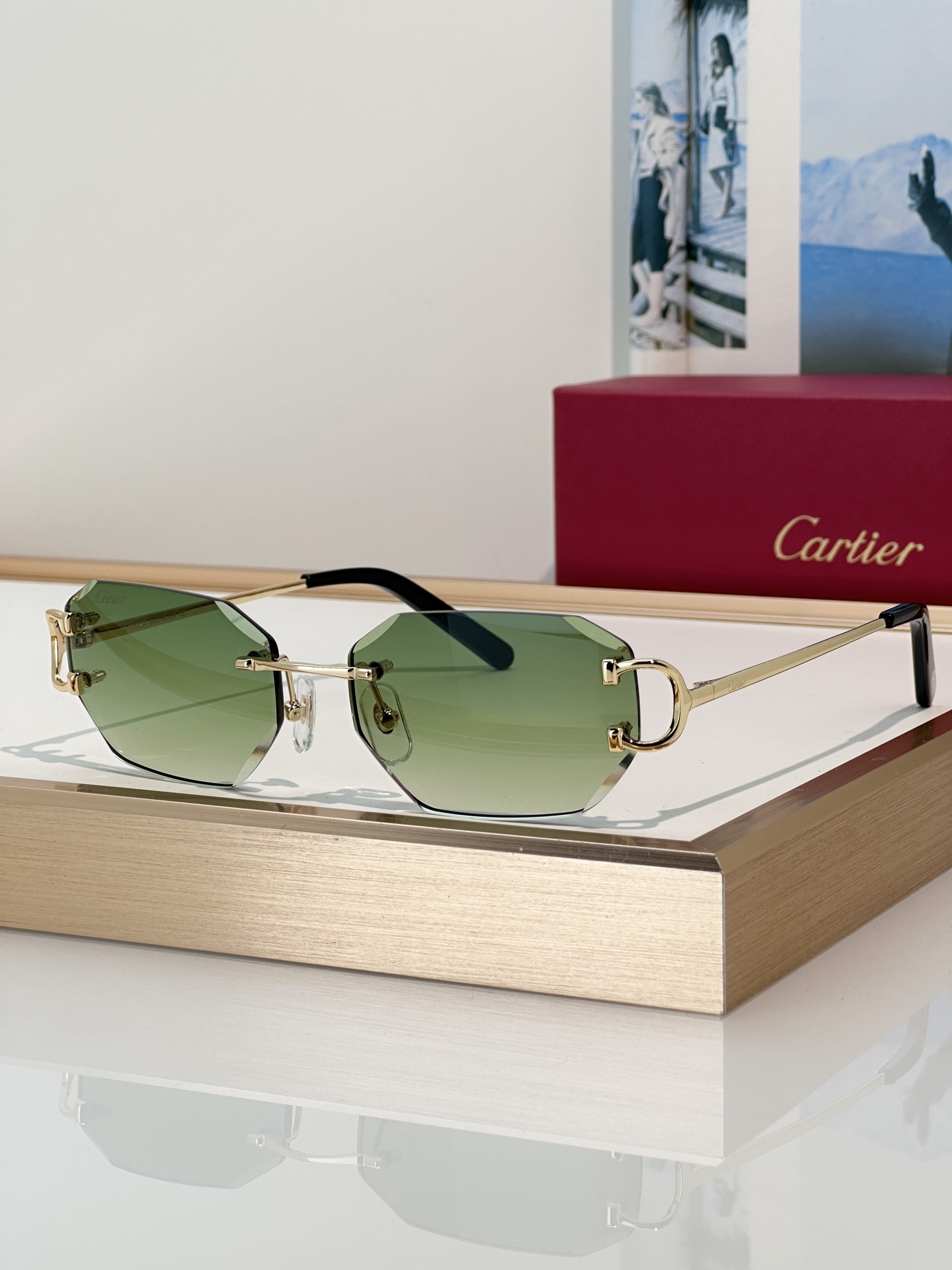 Designer Sunglasses CT0102O