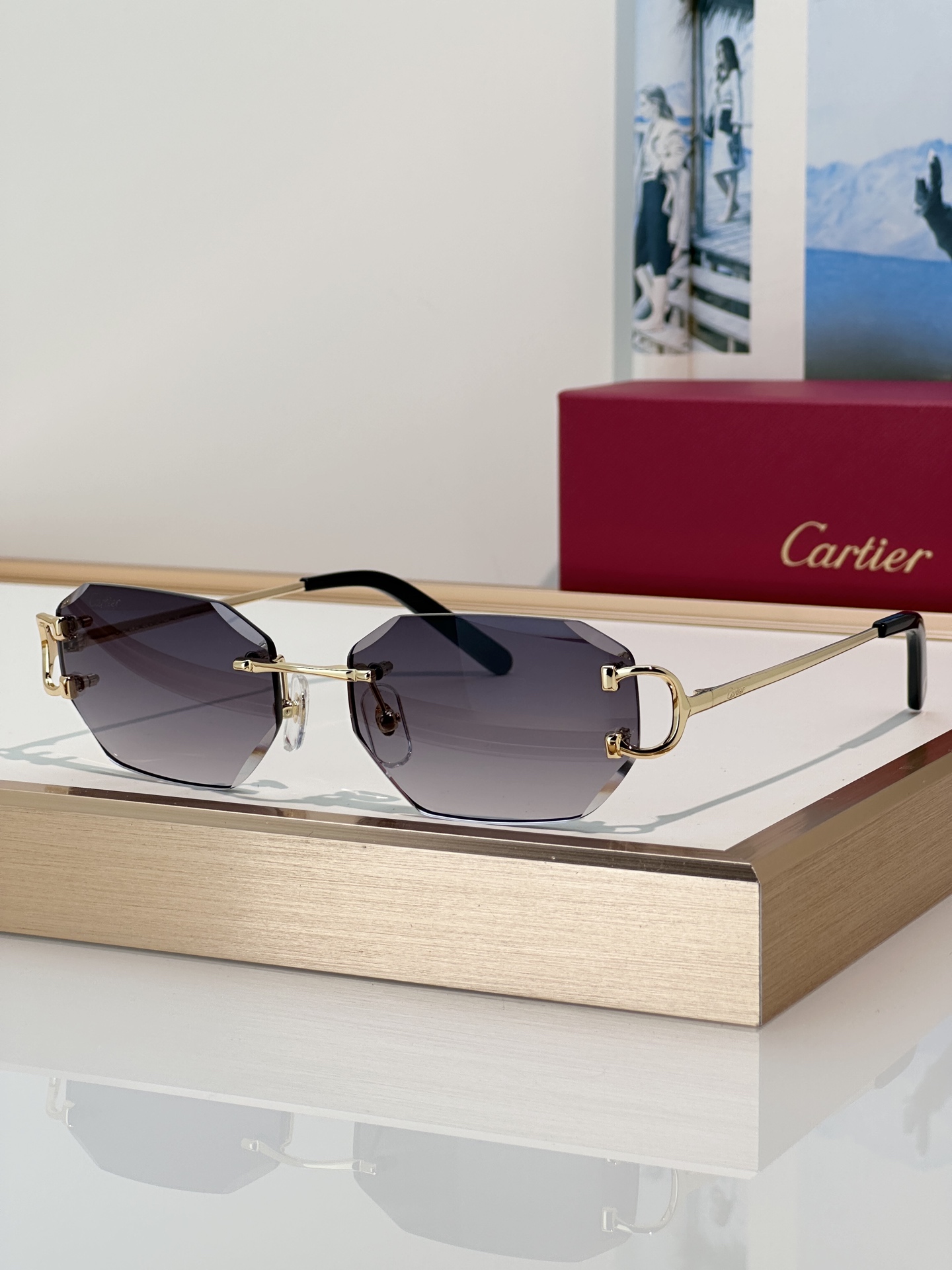 Designer Sunglasses CT0102O